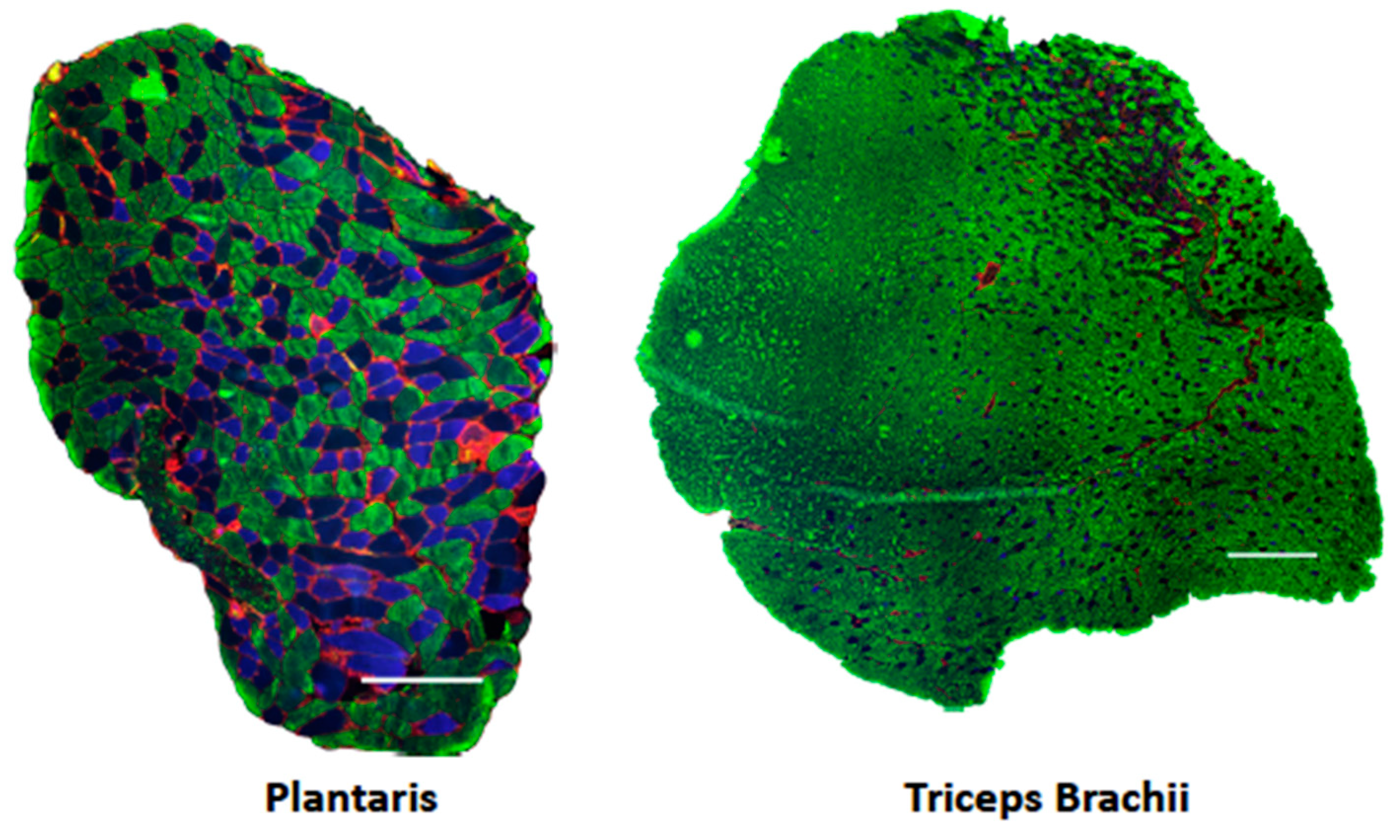 Ijerph 18 00370 g001