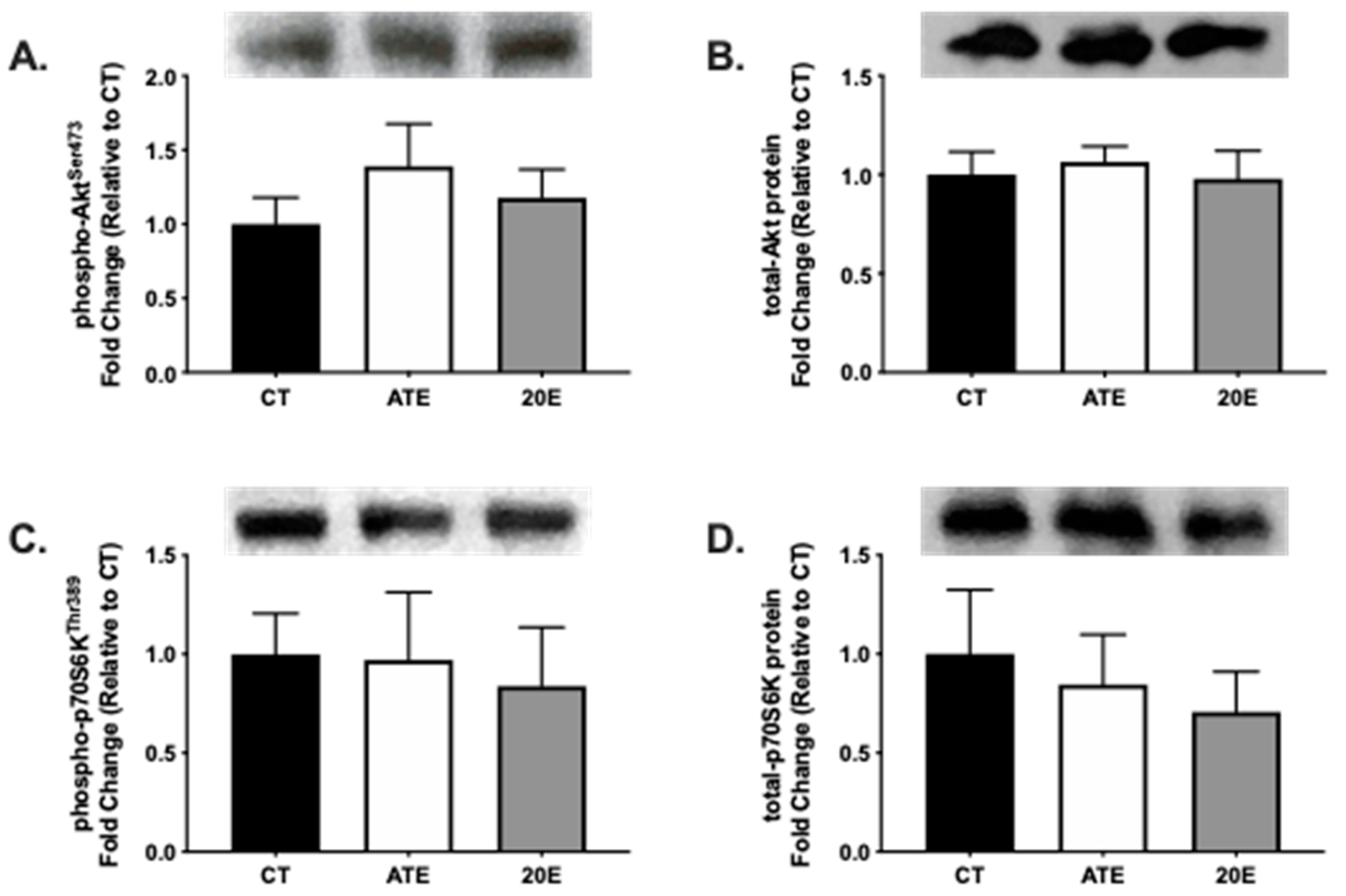 Ijerph 18 00370 g002