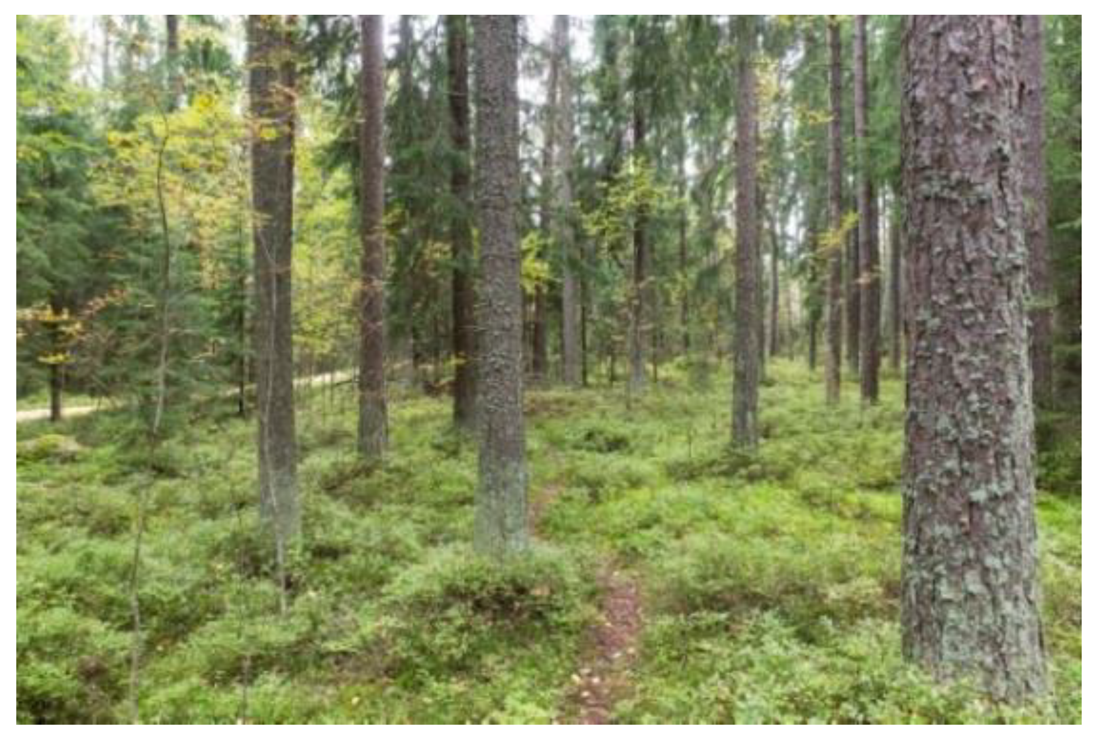 Ijerph 18 00422 g001