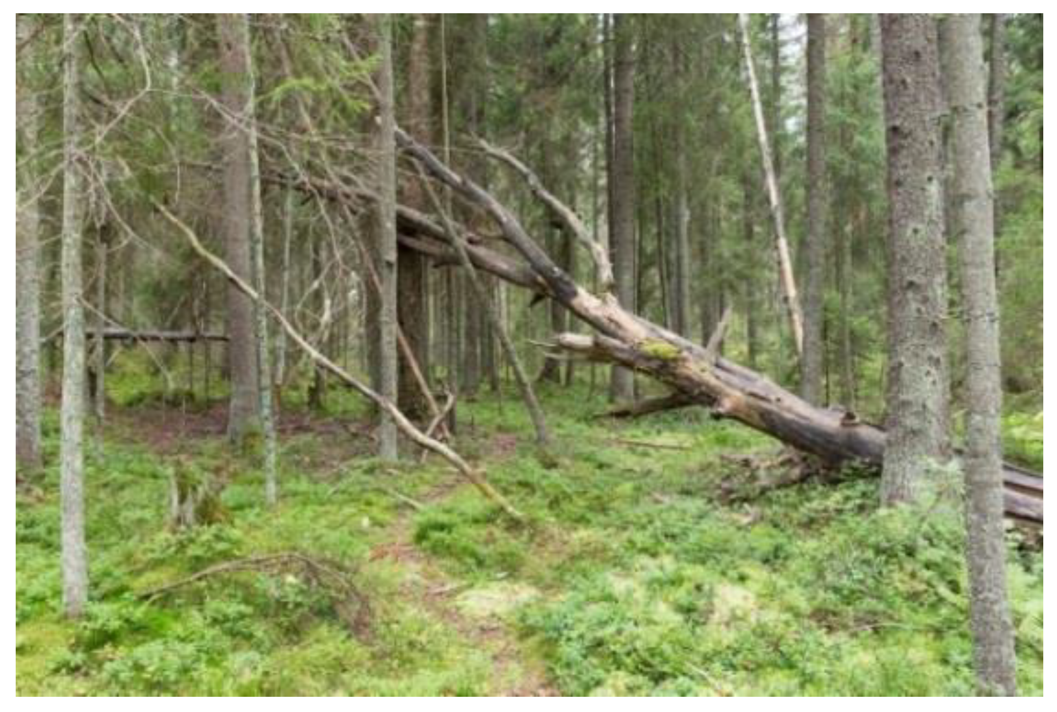 Ijerph 18 00422 g002