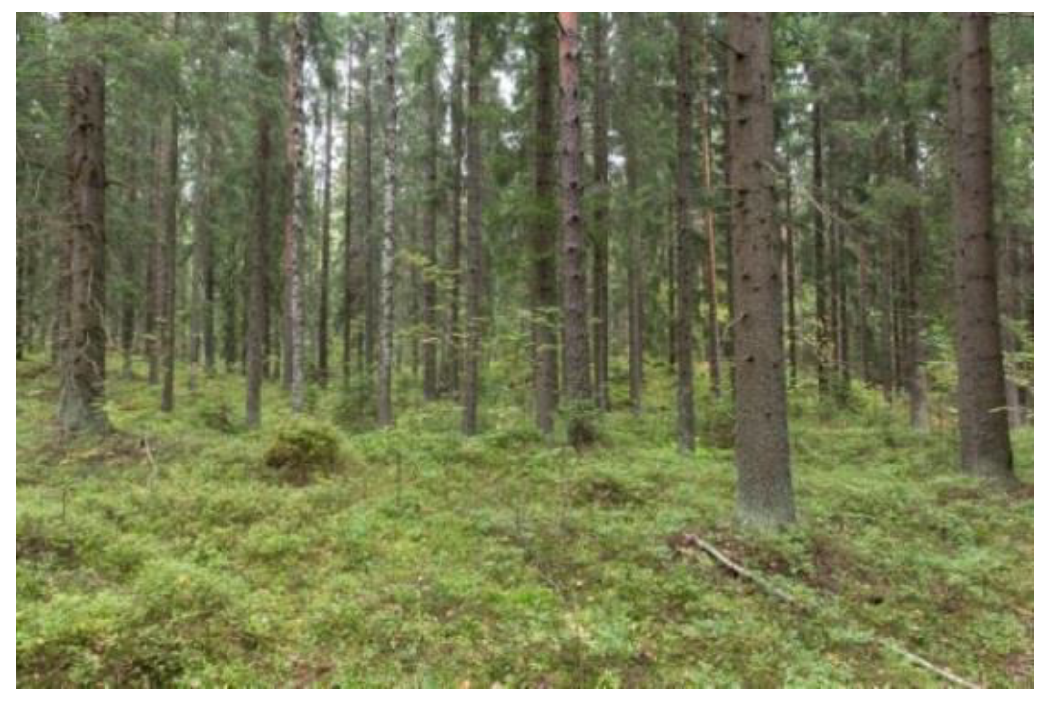 Ijerph 18 00422 g003