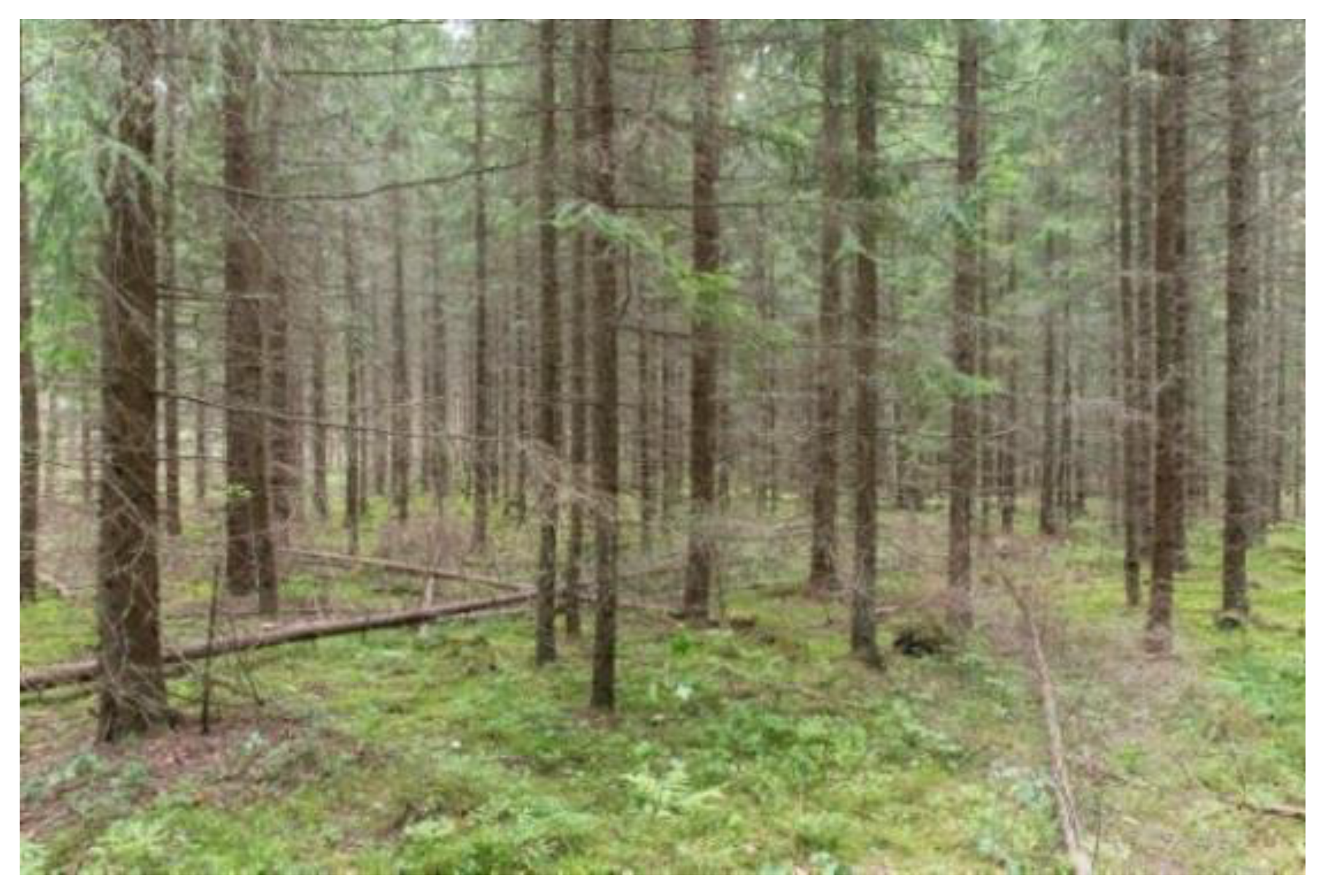 Ijerph 18 00422 g004