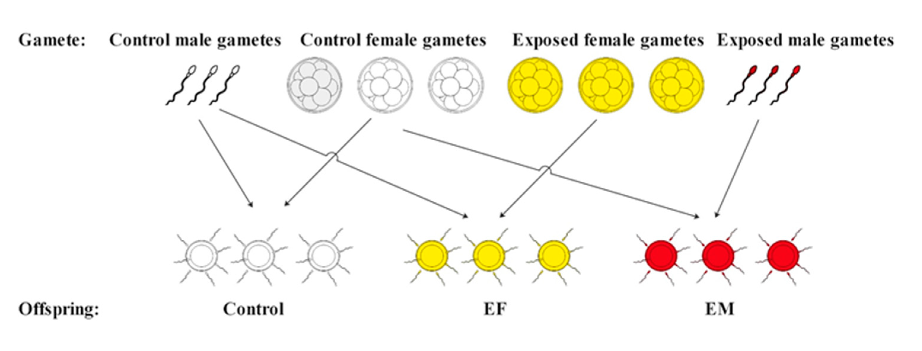 Ijerph 18 00499 g001 Ijerph 18 00499 g001