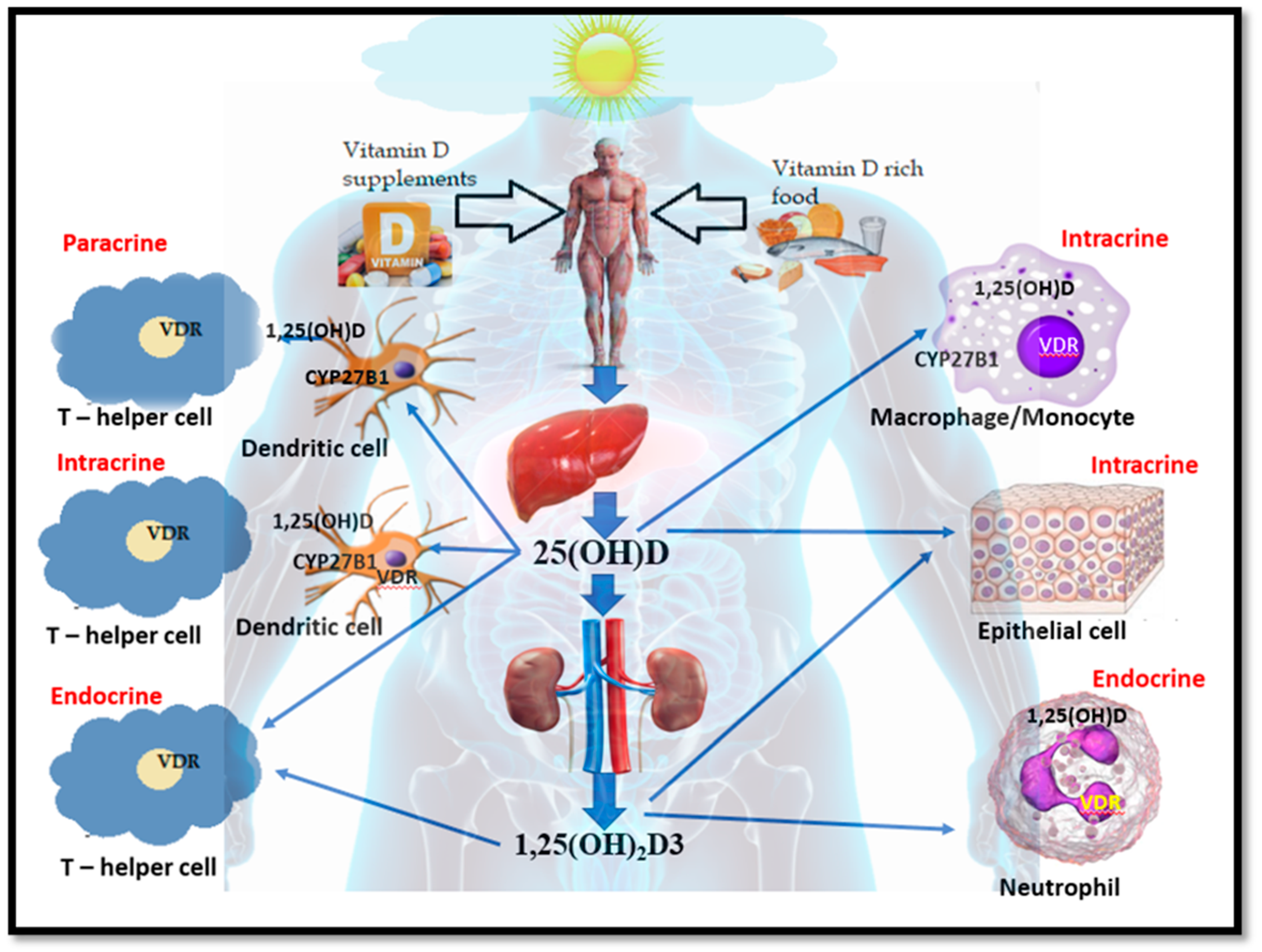 Ijerph 18 00740 g001