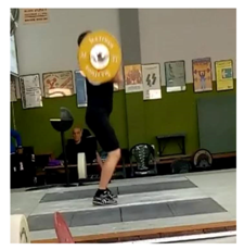 Ijerph 18 00756 i005