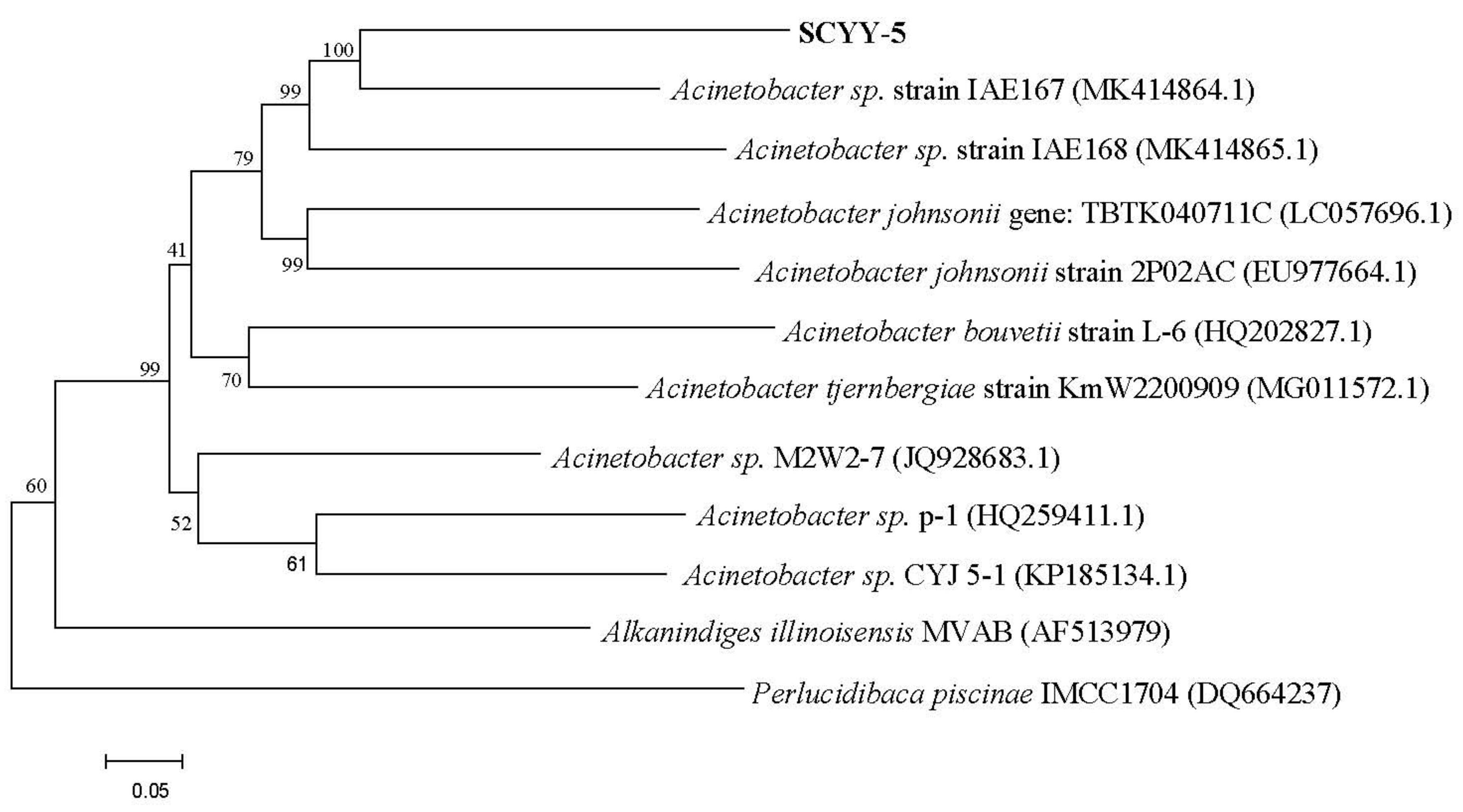 Ijerph 18 00819 g001