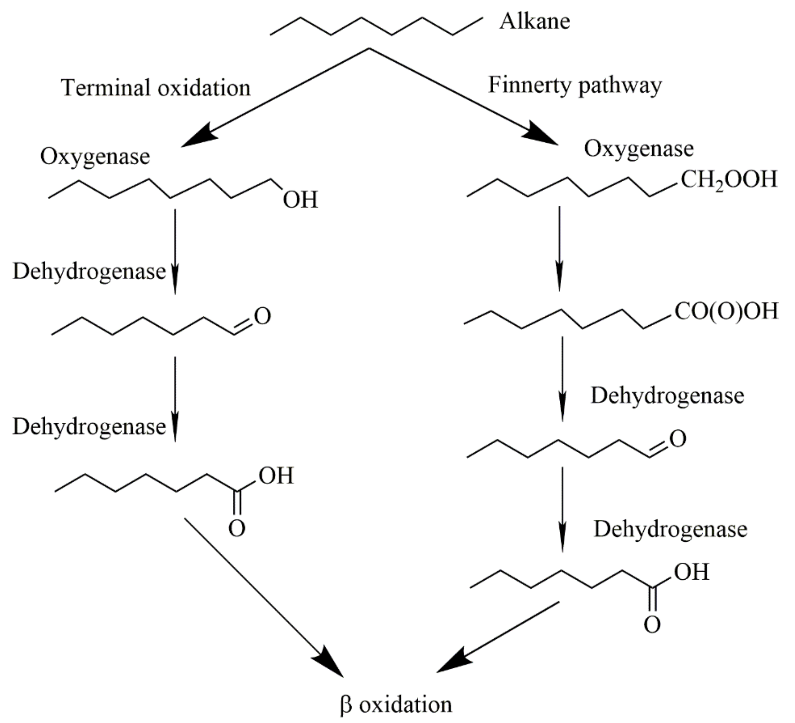Ijerph 18 00819 g006