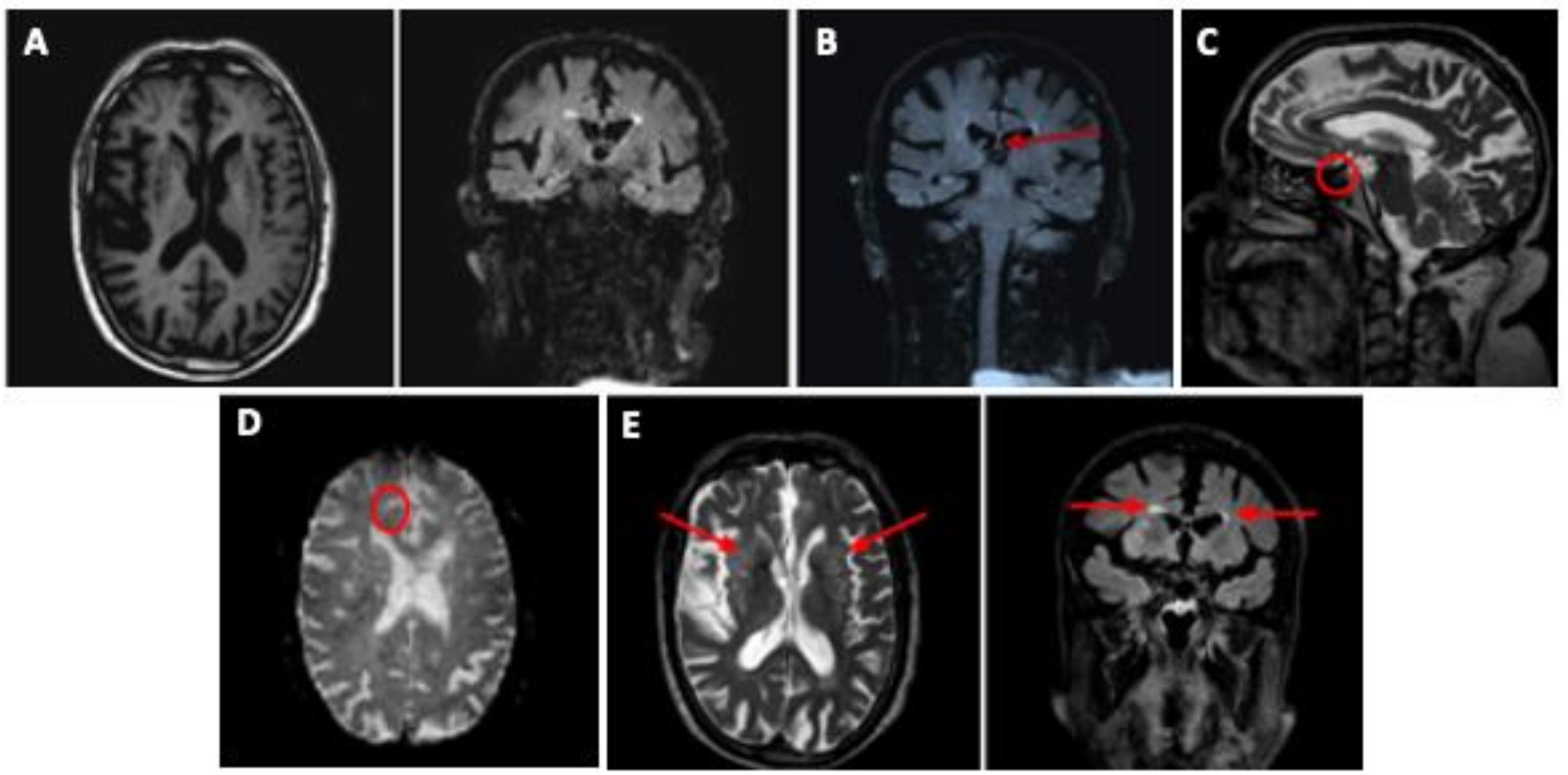 Ijerph 18 00876 g001