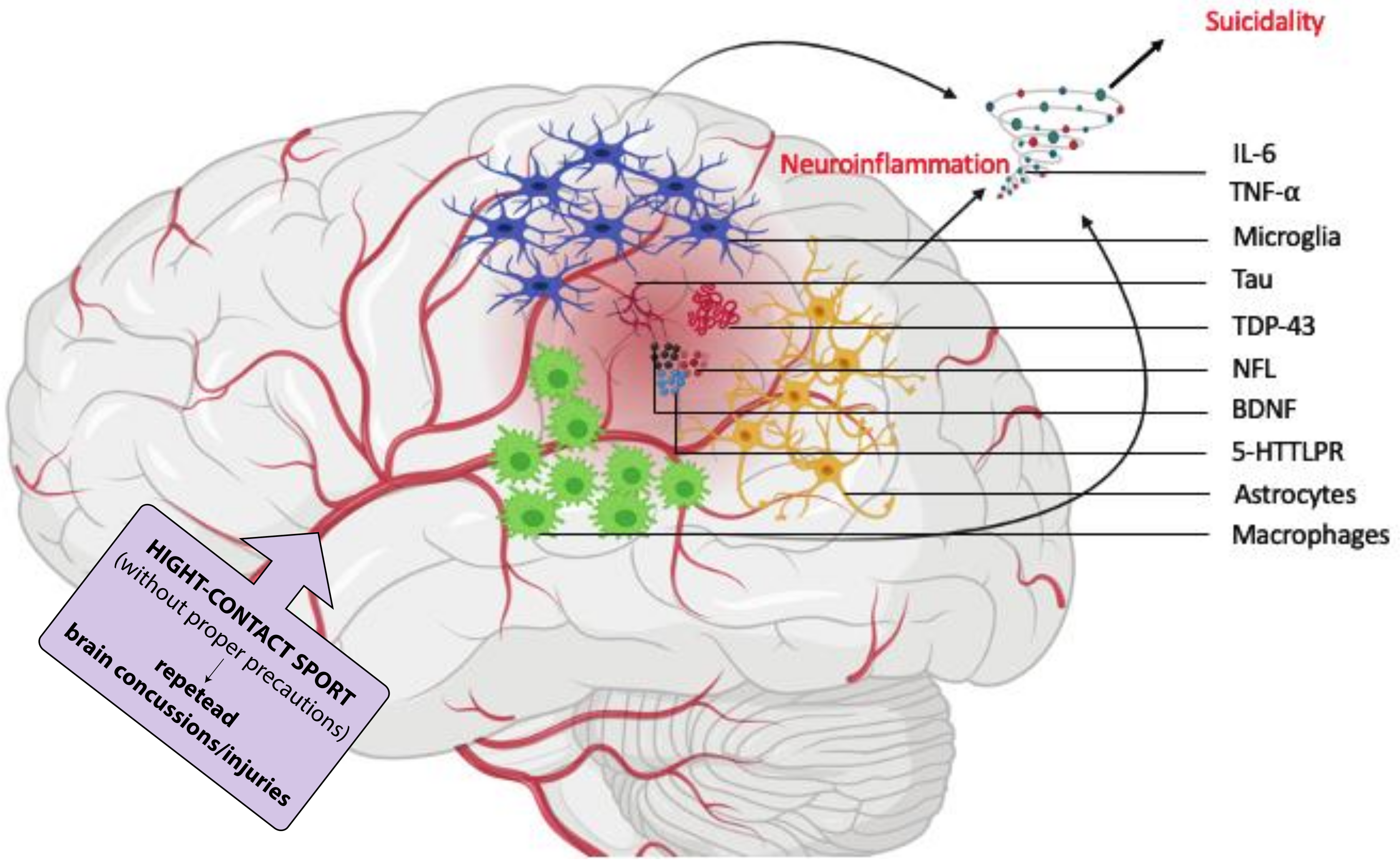 Ijerph 18 00876 g003