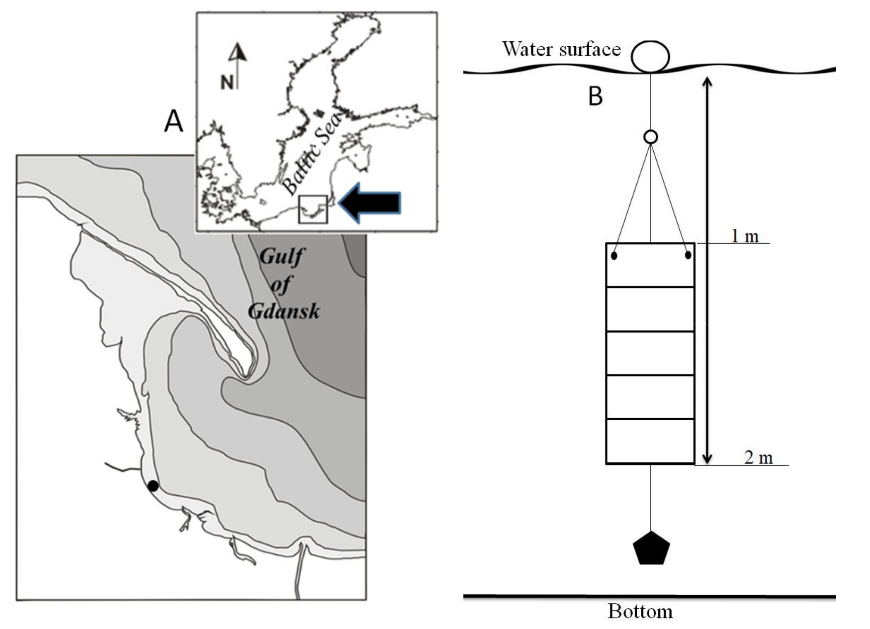 Ijerph 18 00884 g001