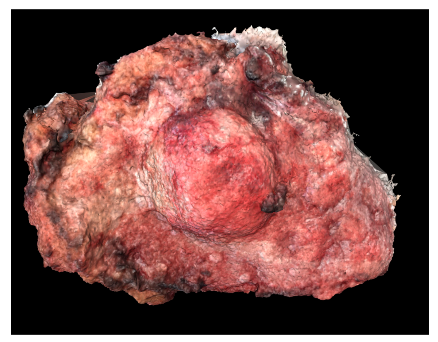 Ijerph 18 00911 g004