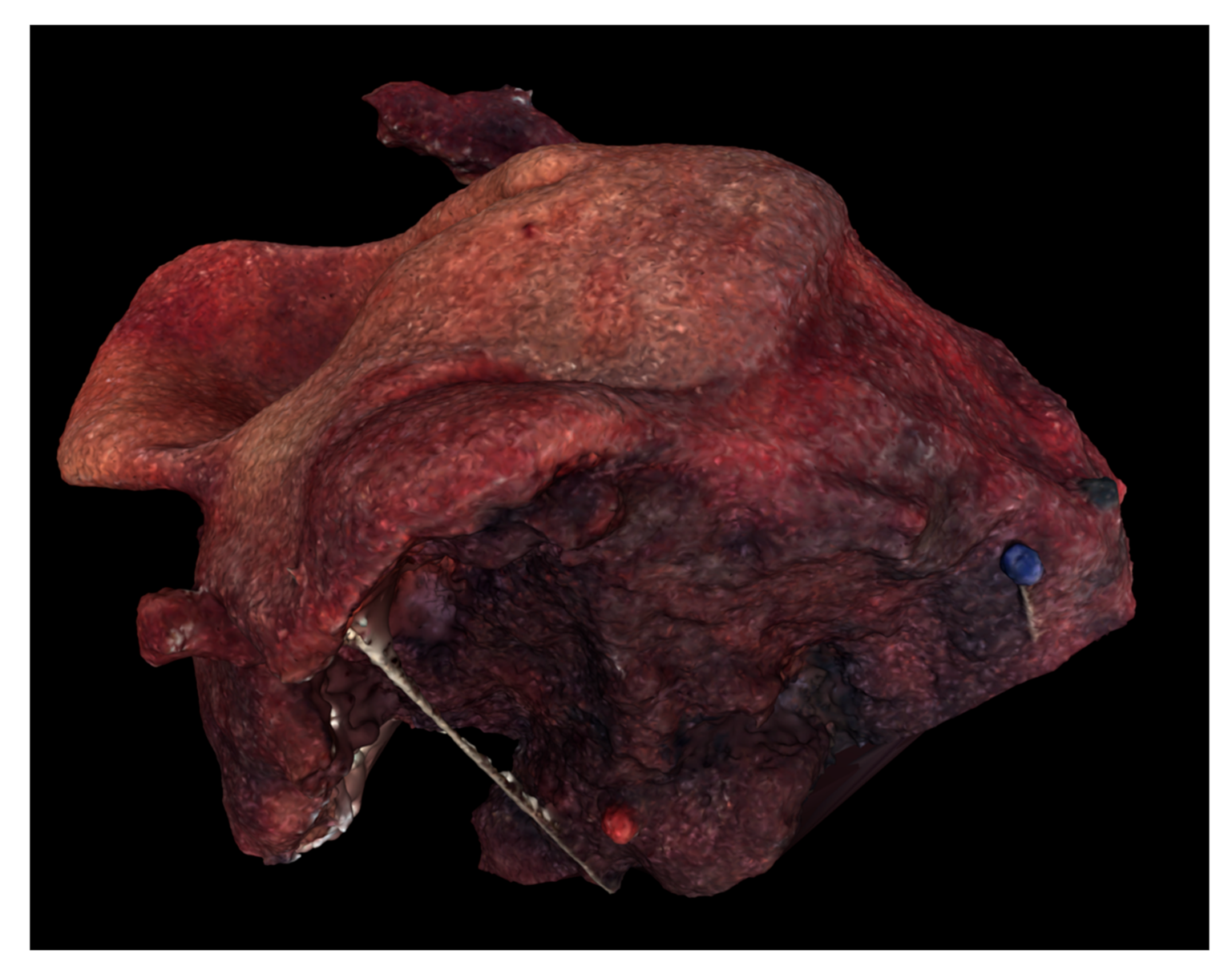 Ijerph 18 00911 g006