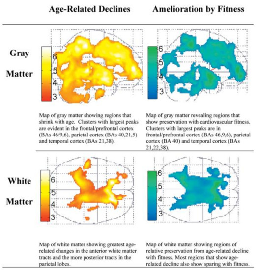 Ijerph 18 00962 g004