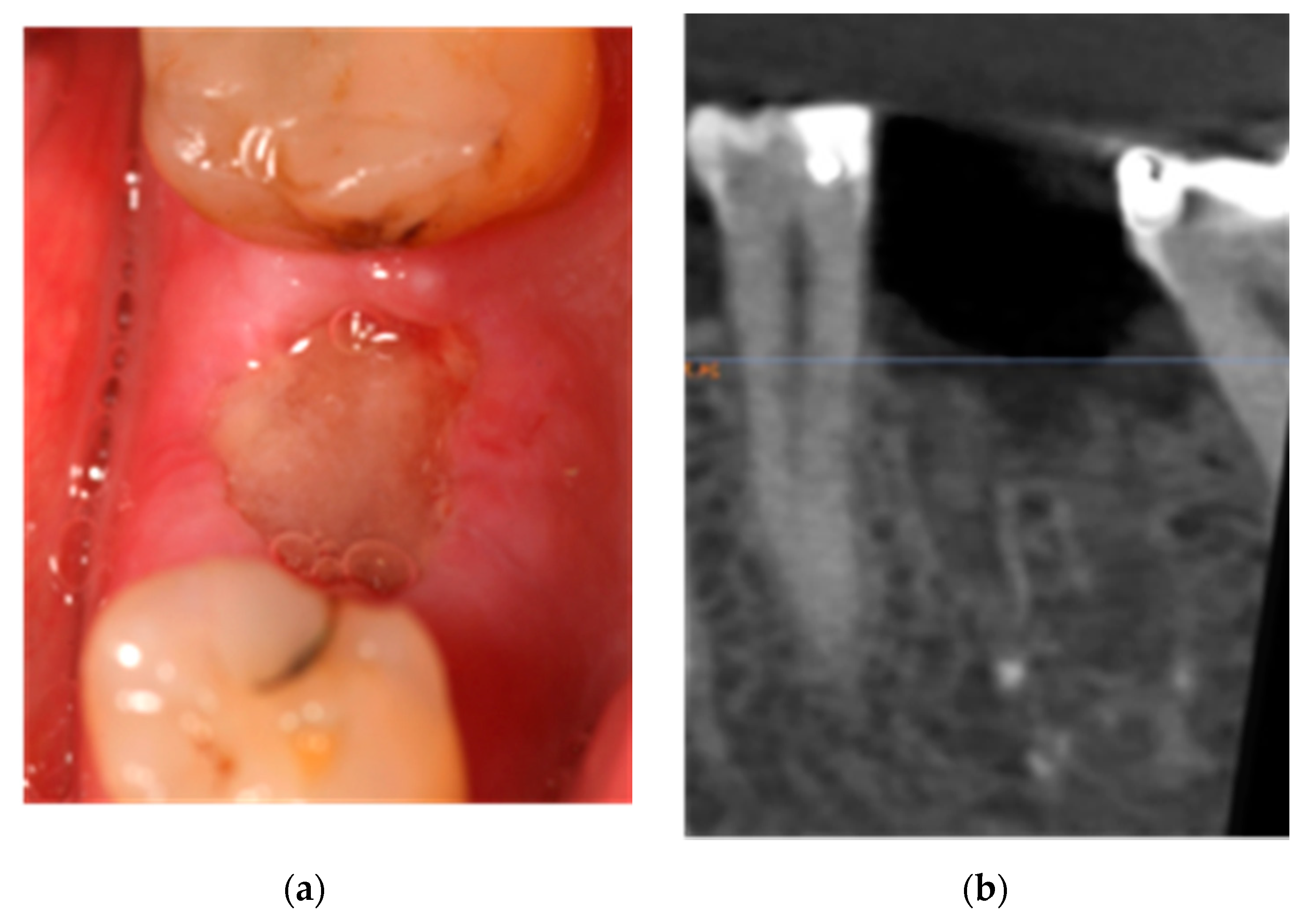 Ijerph 18 01018 g001