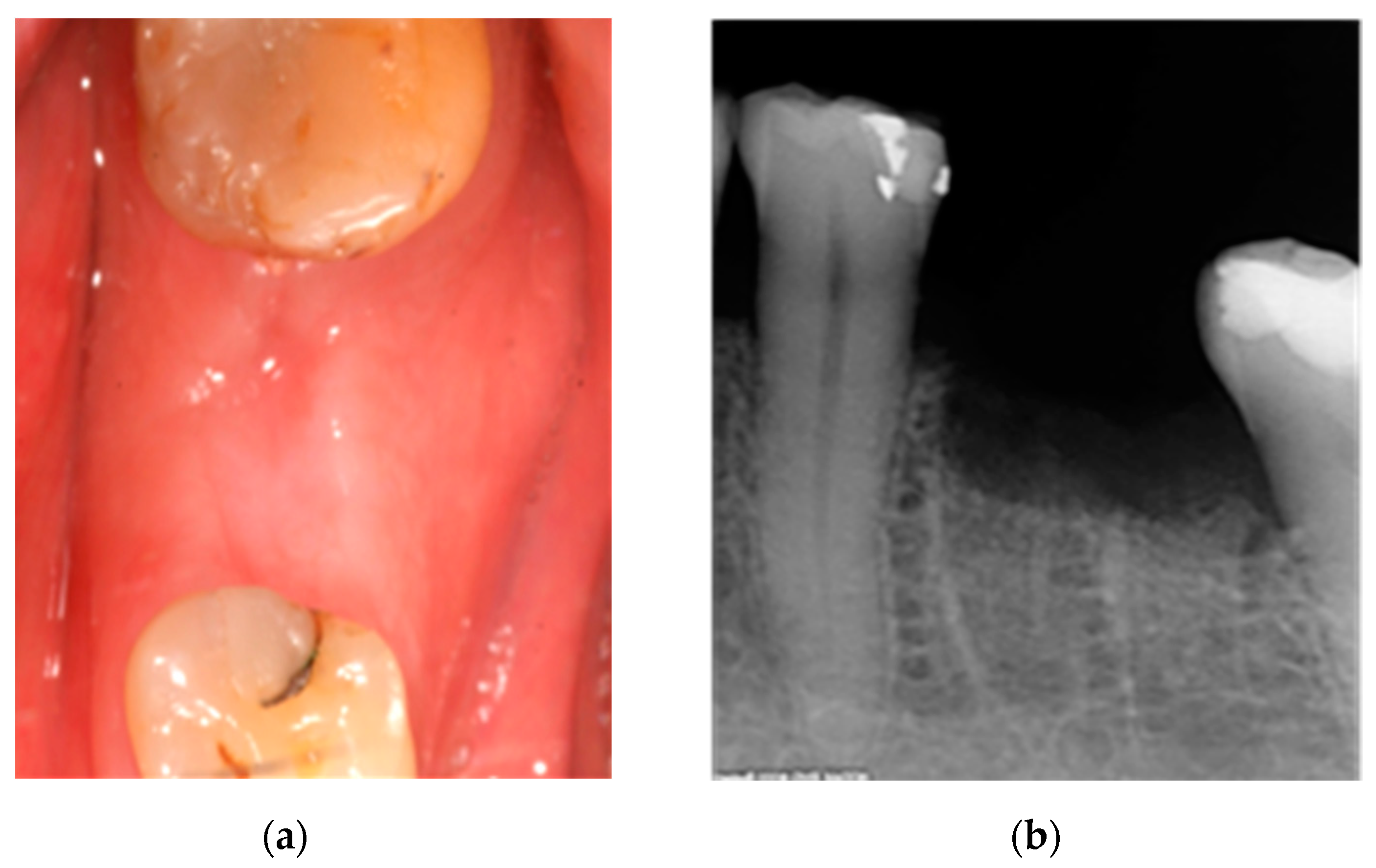 Ijerph 18 01018 g002
