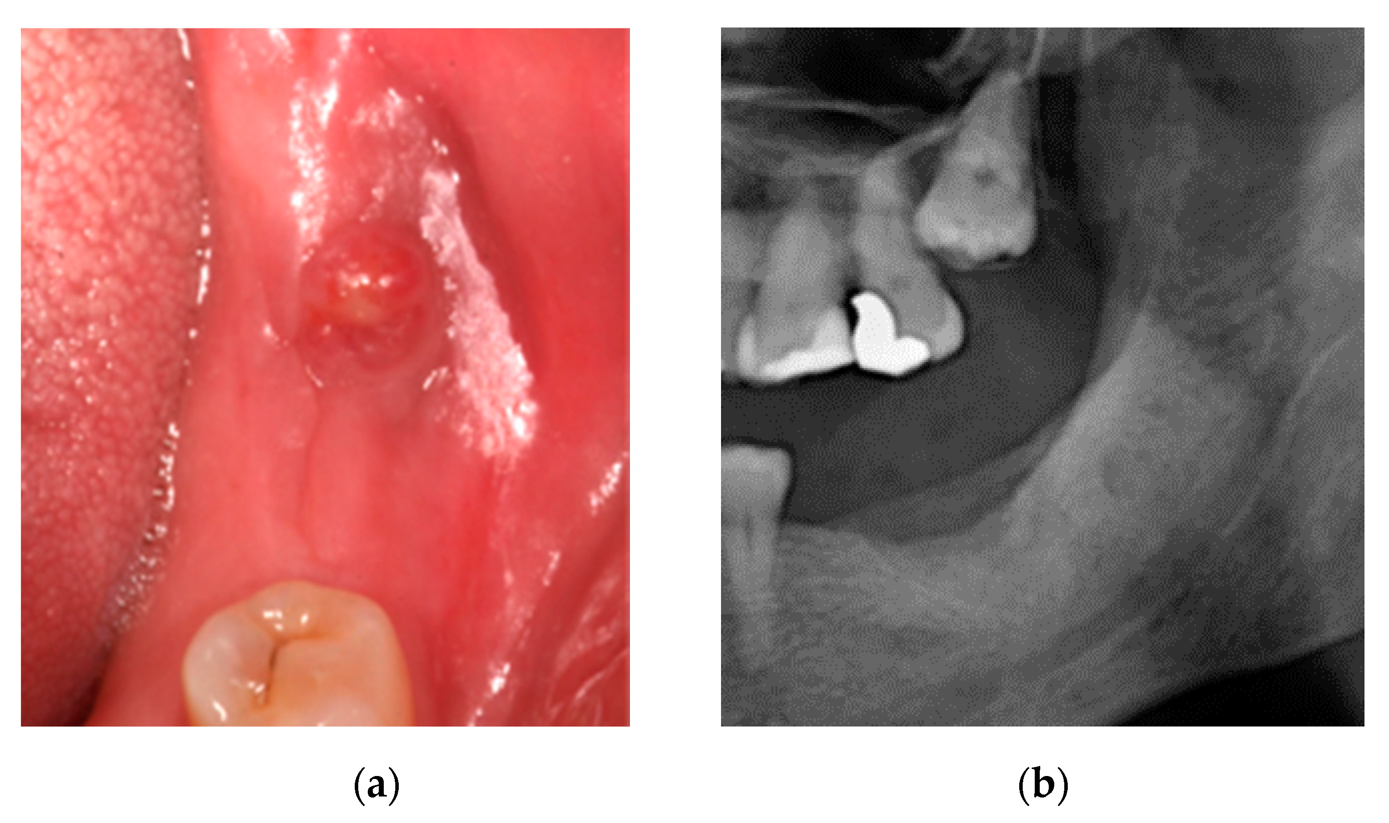 Ijerph 18 01018 g003