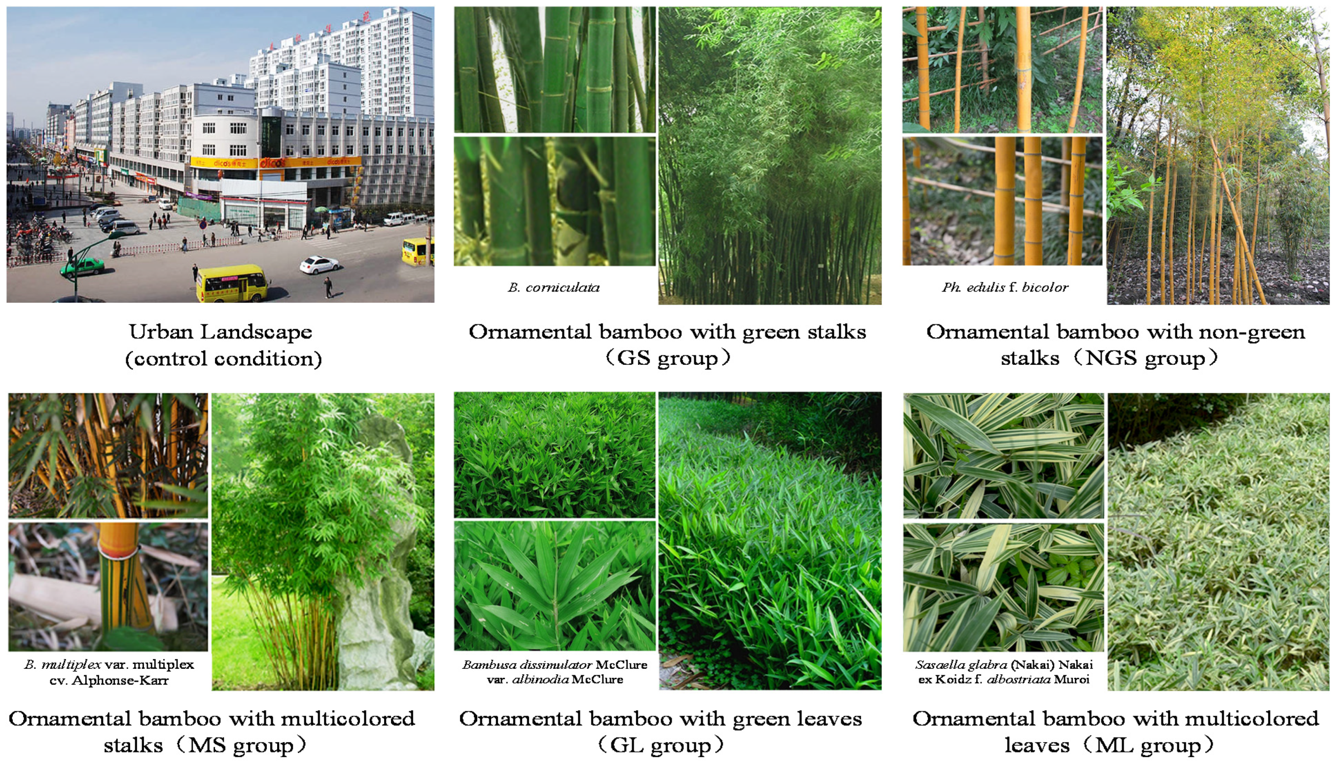 Ijerph 18 01151 g001