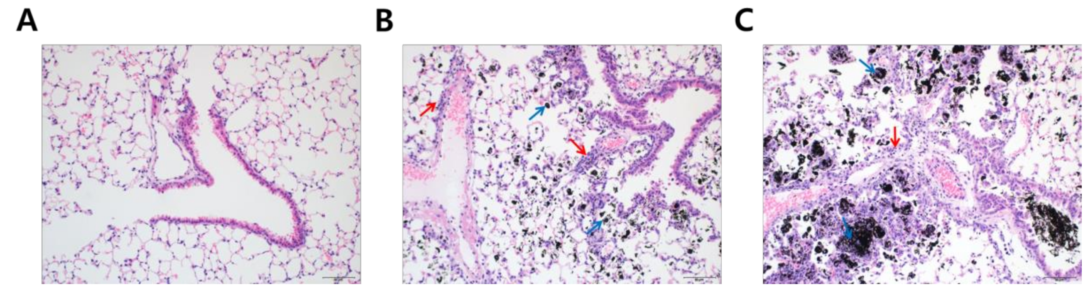 Ijerph 18 01166 g002