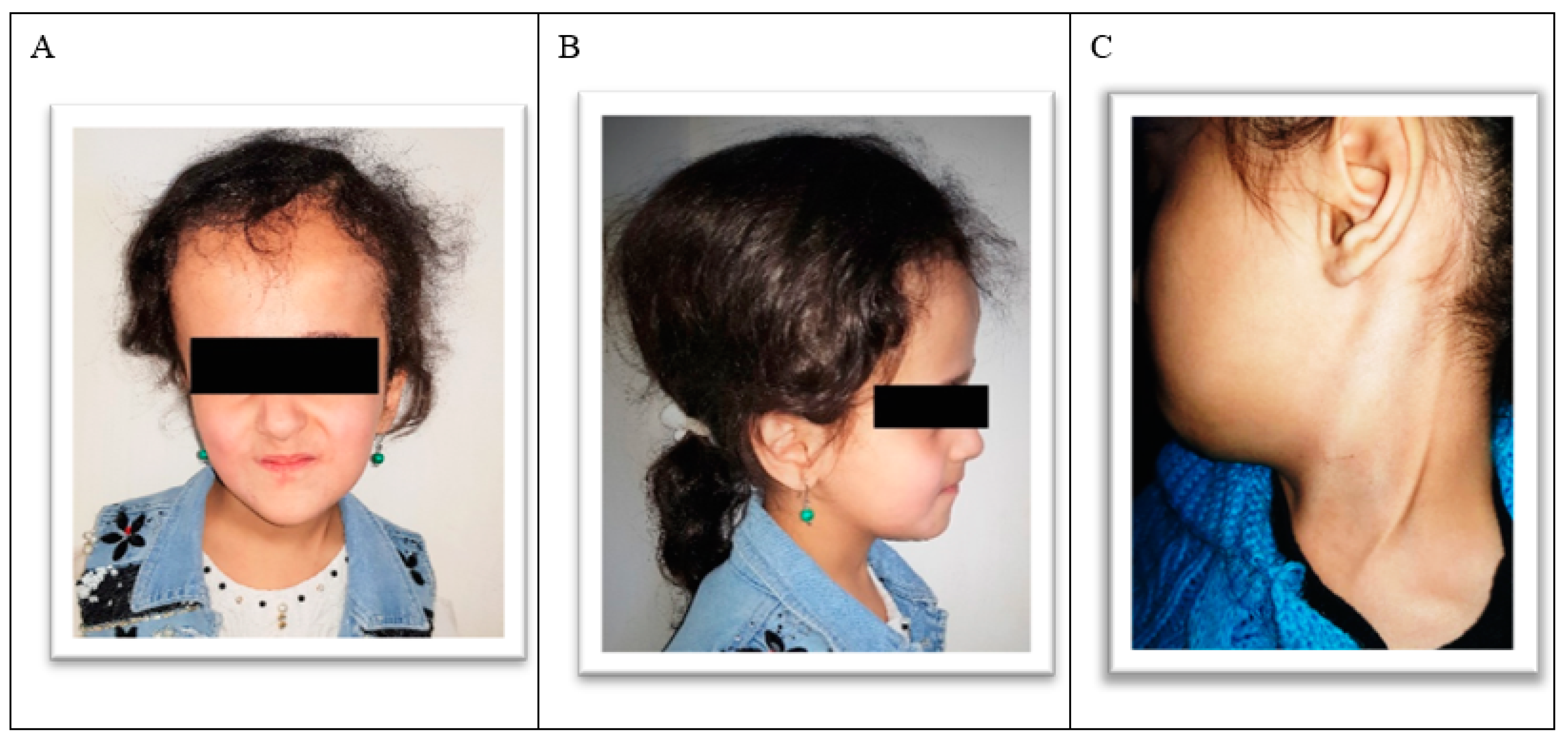 Ijerph 18 01209 g001 Ijerph 18 01209 g001