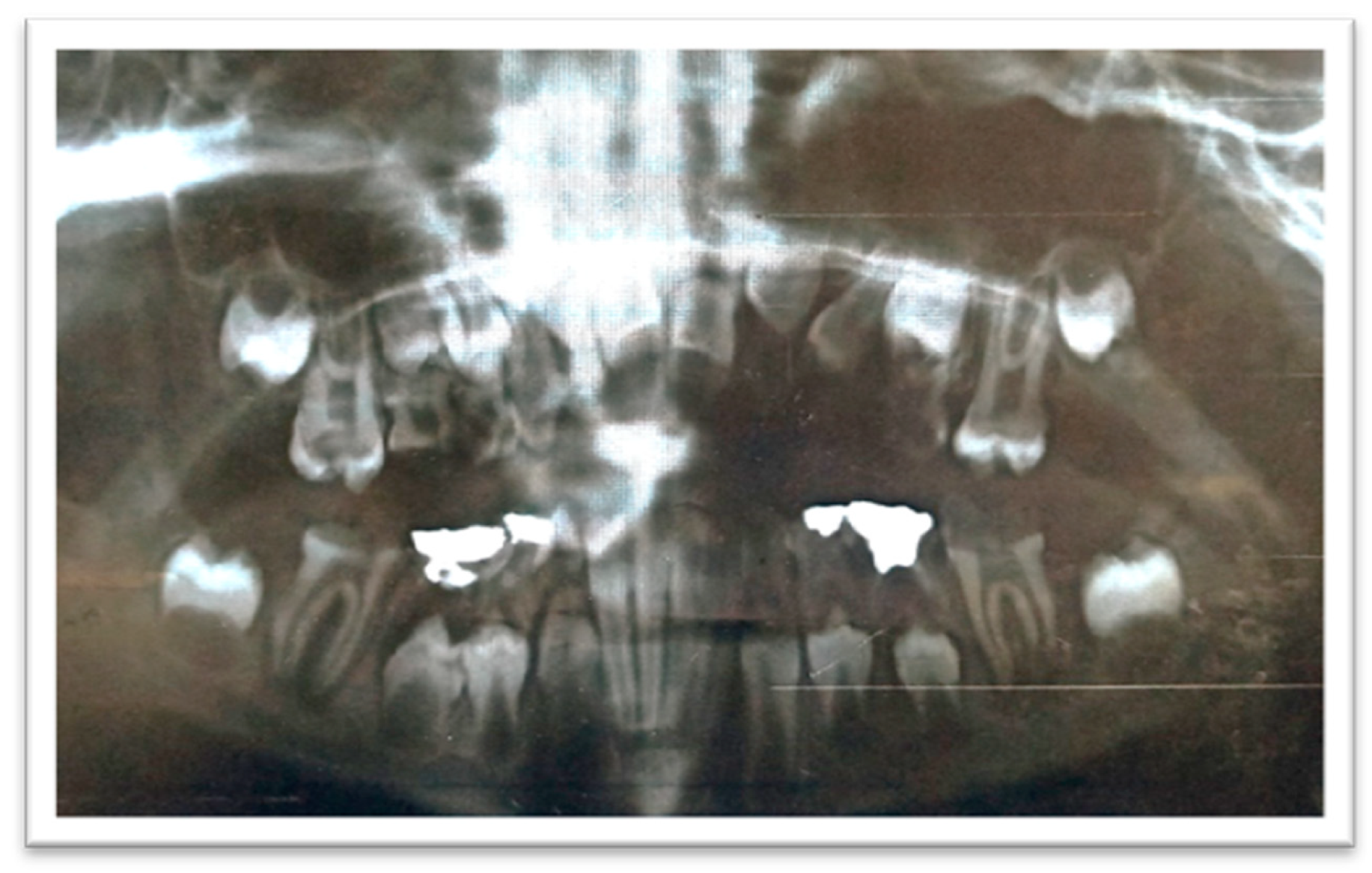 Ijerph 18 01209 g003 Ijerph 18 01209 g003