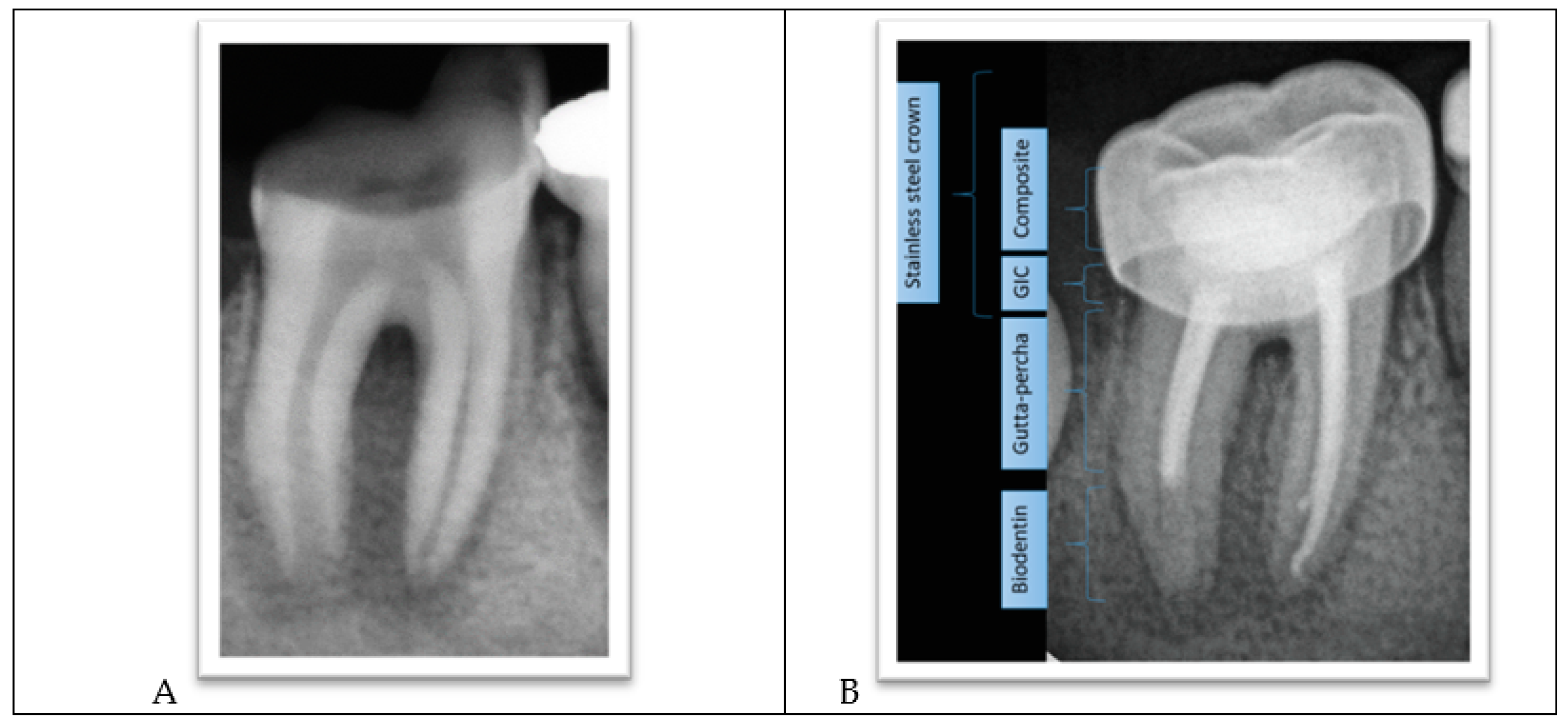Ijerph 18 01209 g005 Ijerph 18 01209 g005