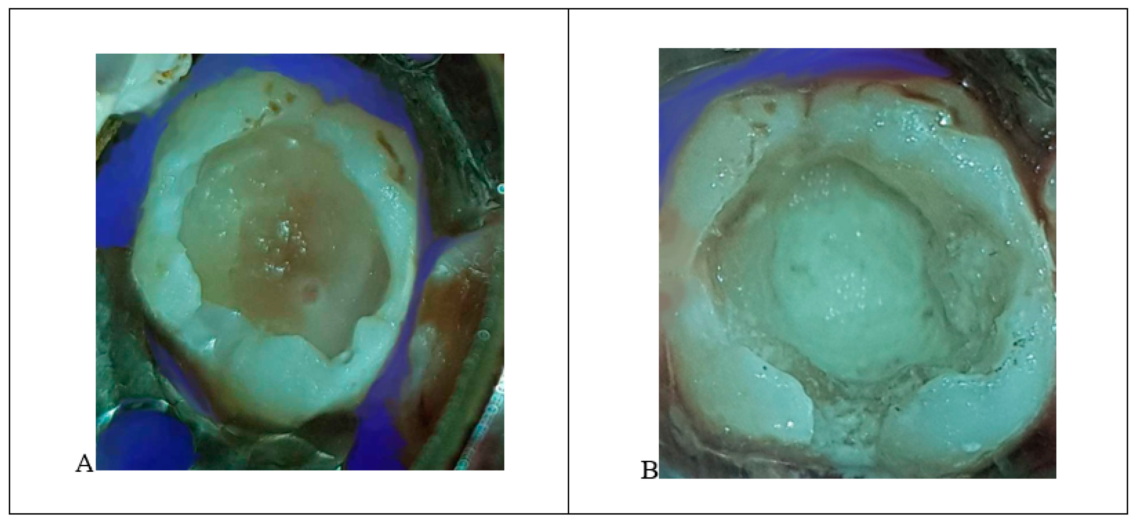 Ijerph 18 01209 g006 Ijerph 18 01209 g006