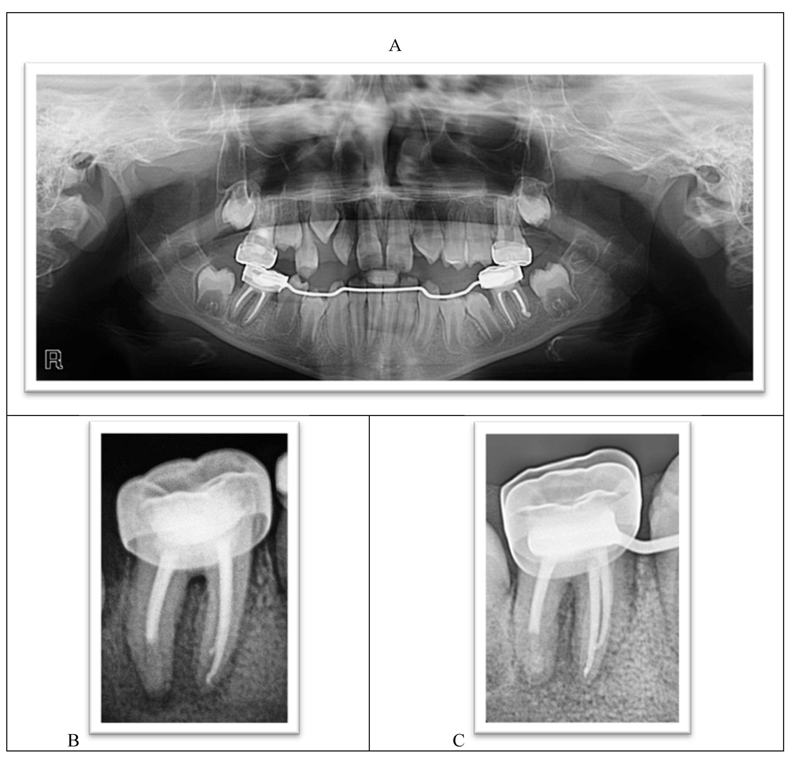 Ijerph 18 01209 g010a Ijerph 18 01209 g010a
