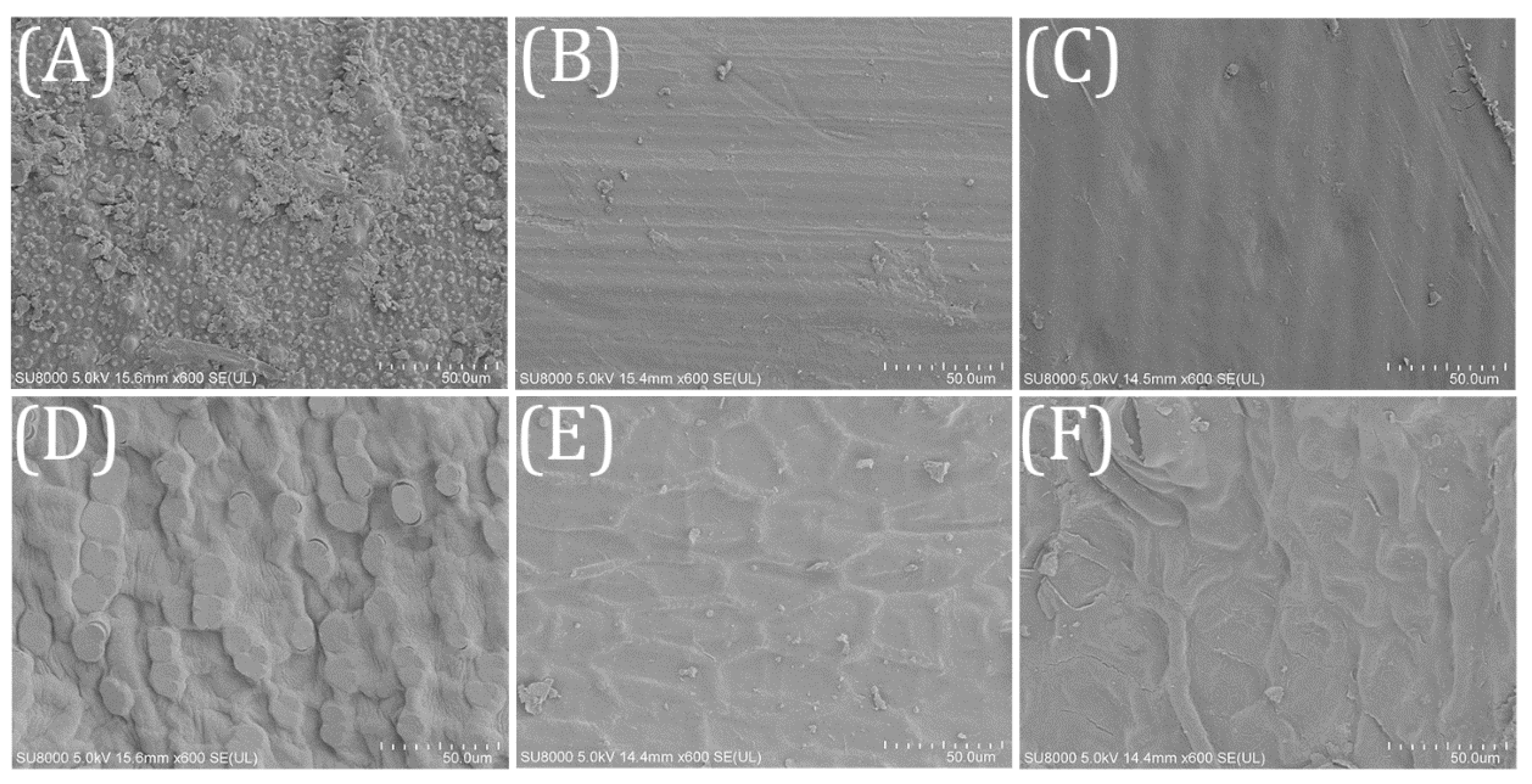 Ijerph 18 01232 g002 Ijerph 18 01232 g002