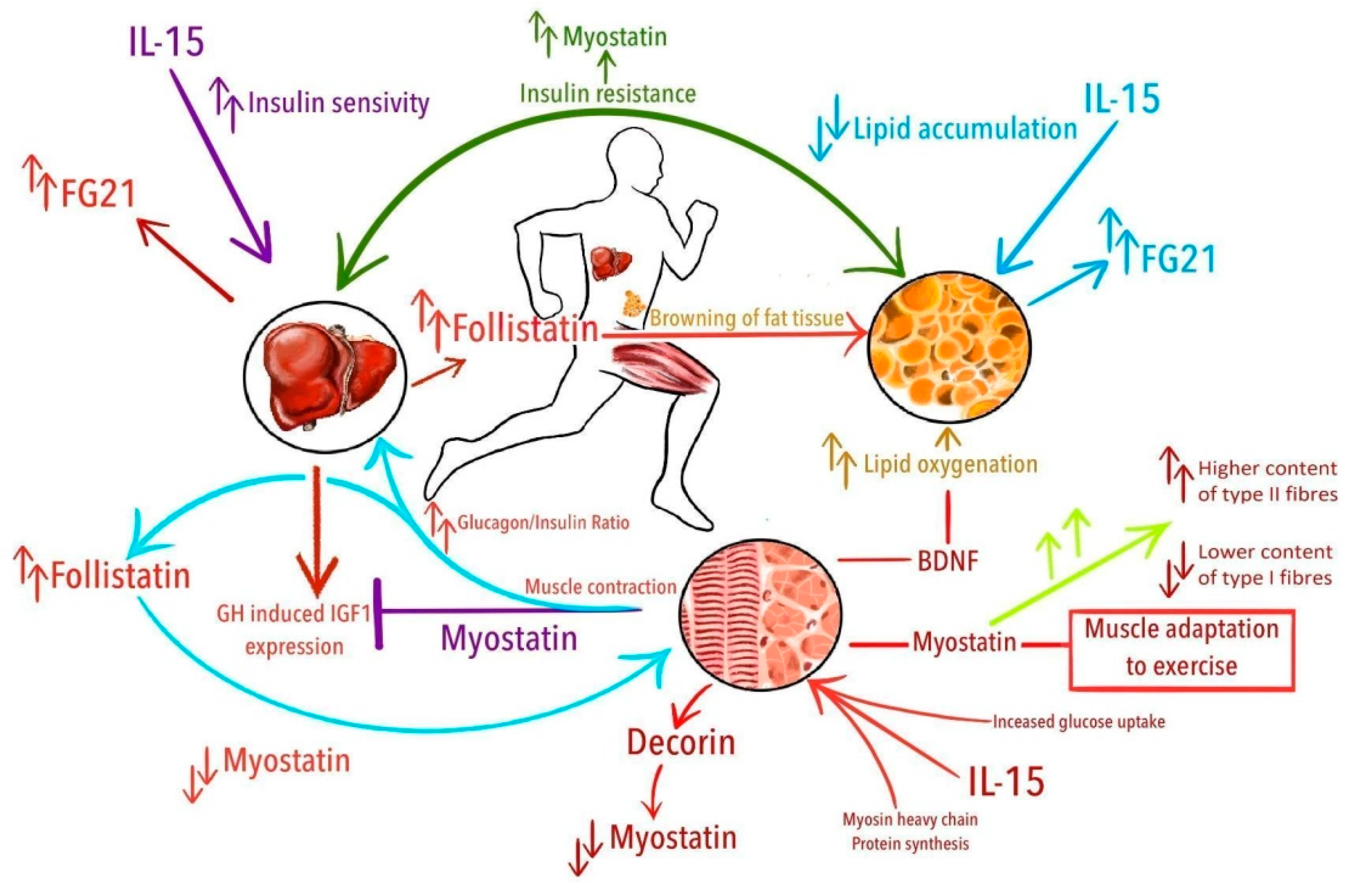 Ijerph 18 01261 g001