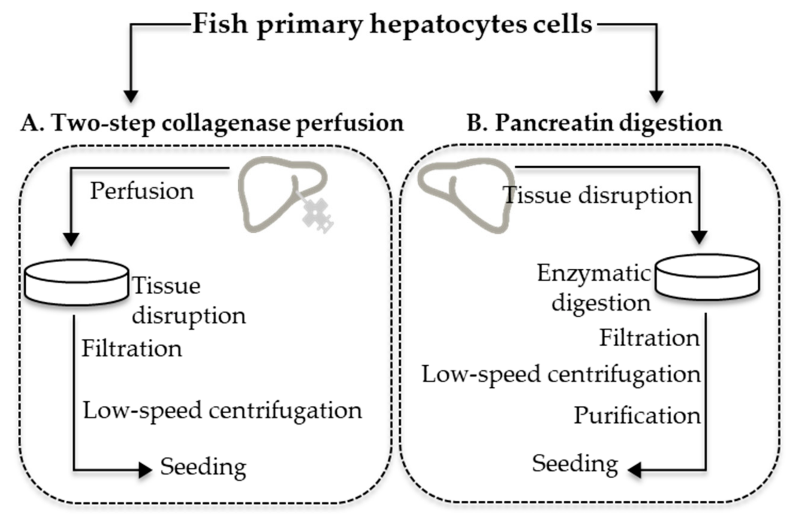 Ijerph 18 01380 g001 Ijerph 18 01380 g001