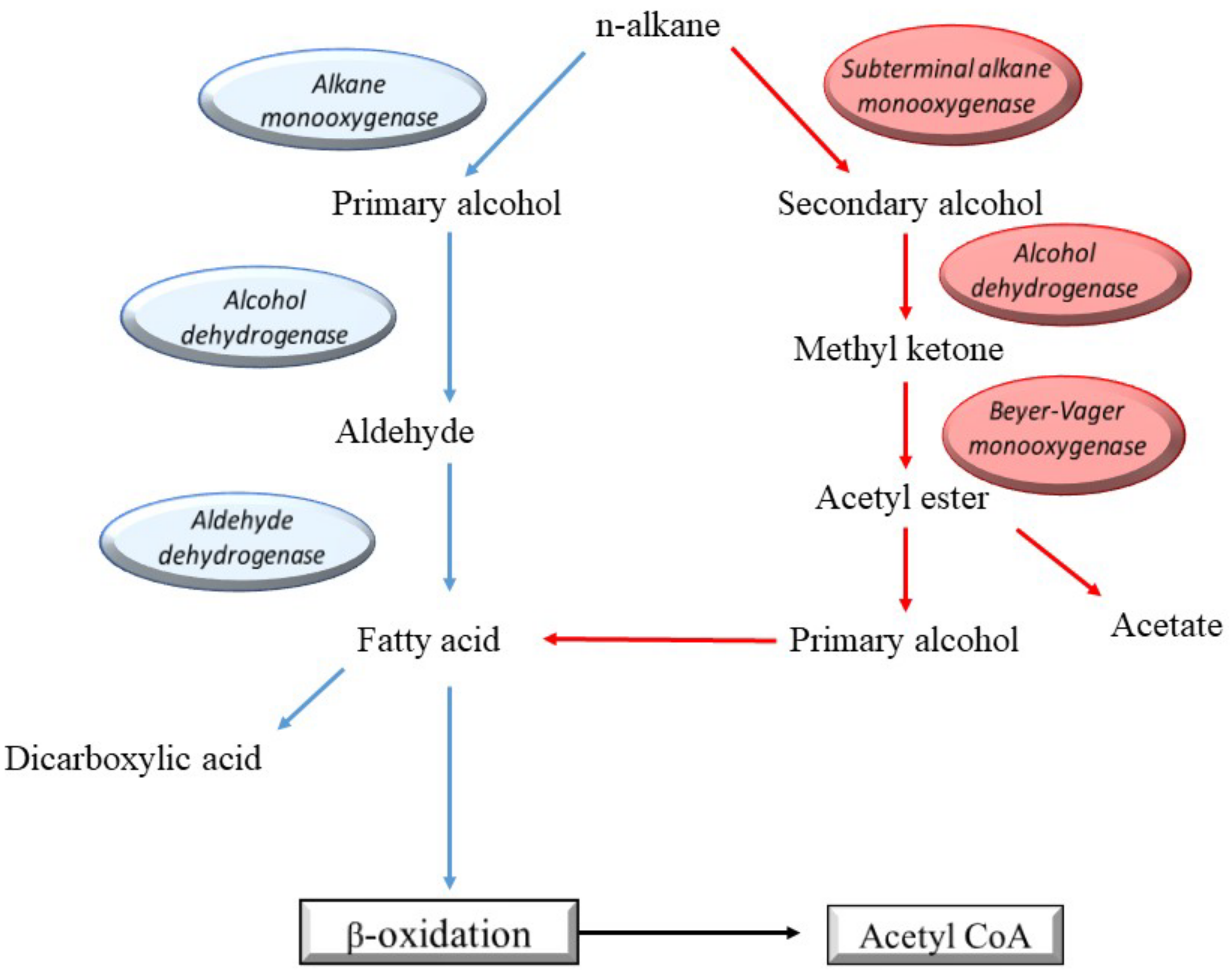 Ijerph 18 01512 g004