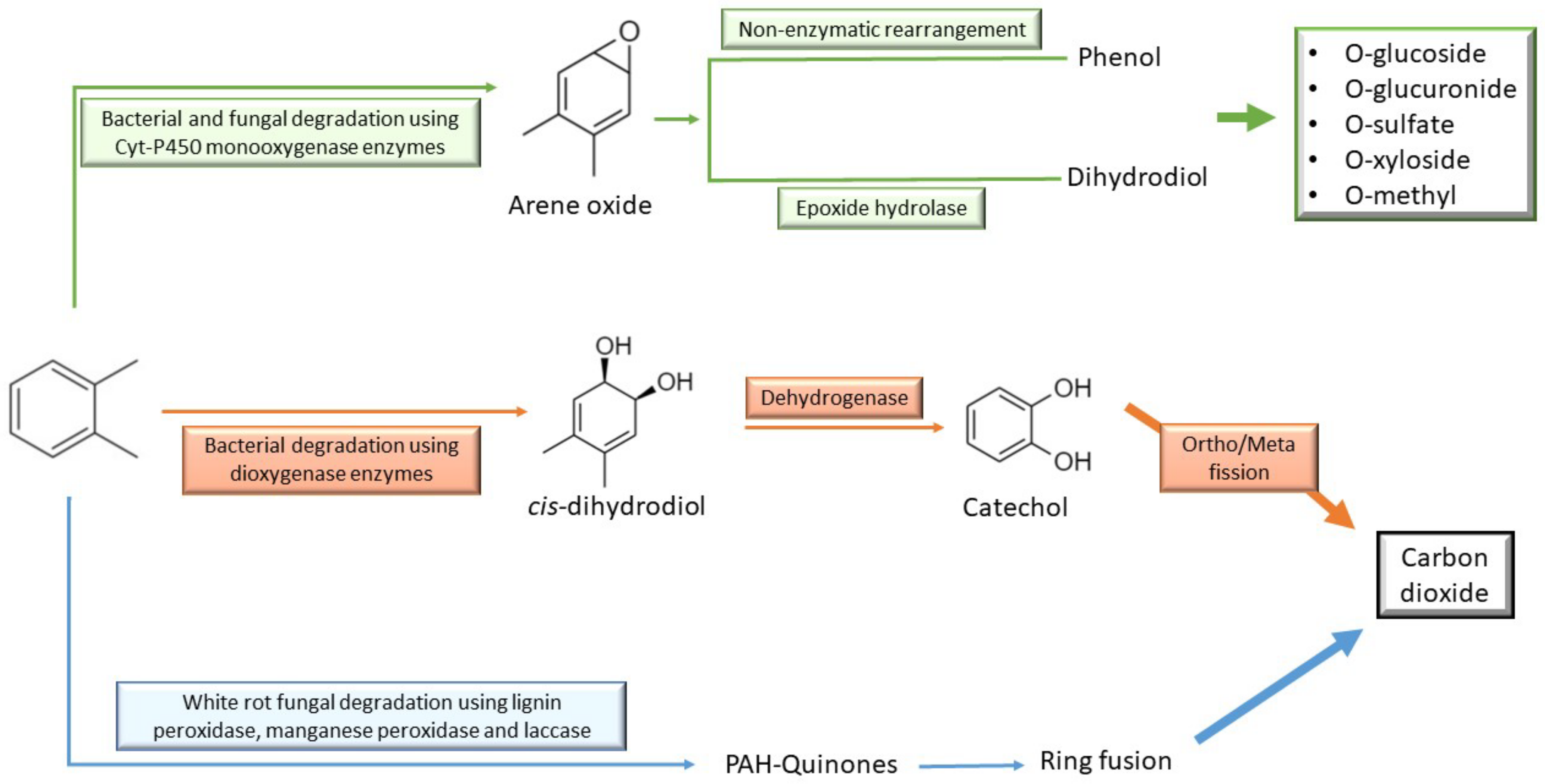Ijerph 18 01512 g005