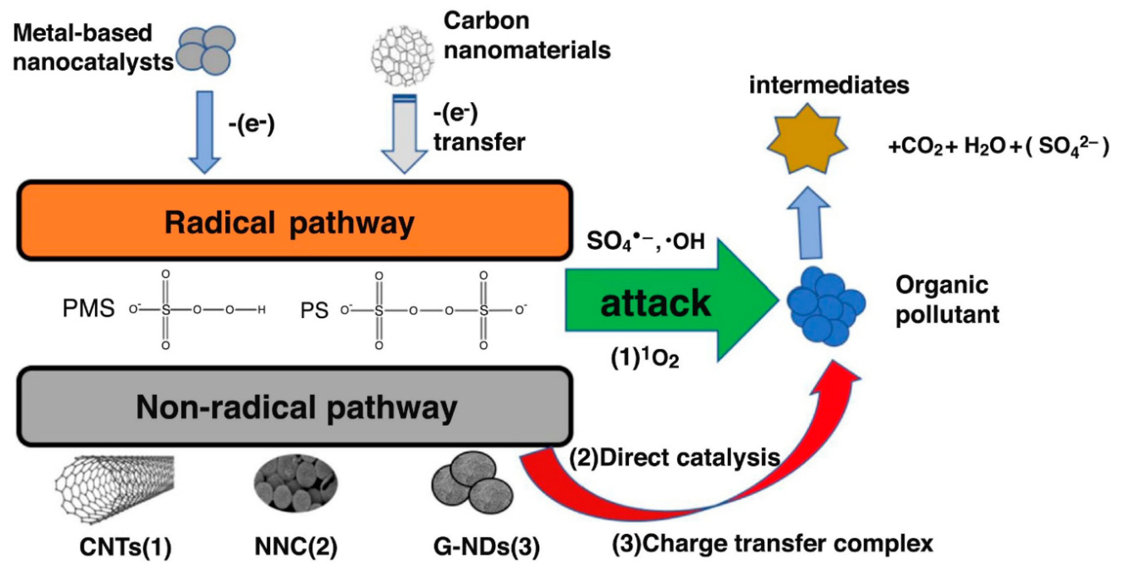 Ijerph 18 01529 g008