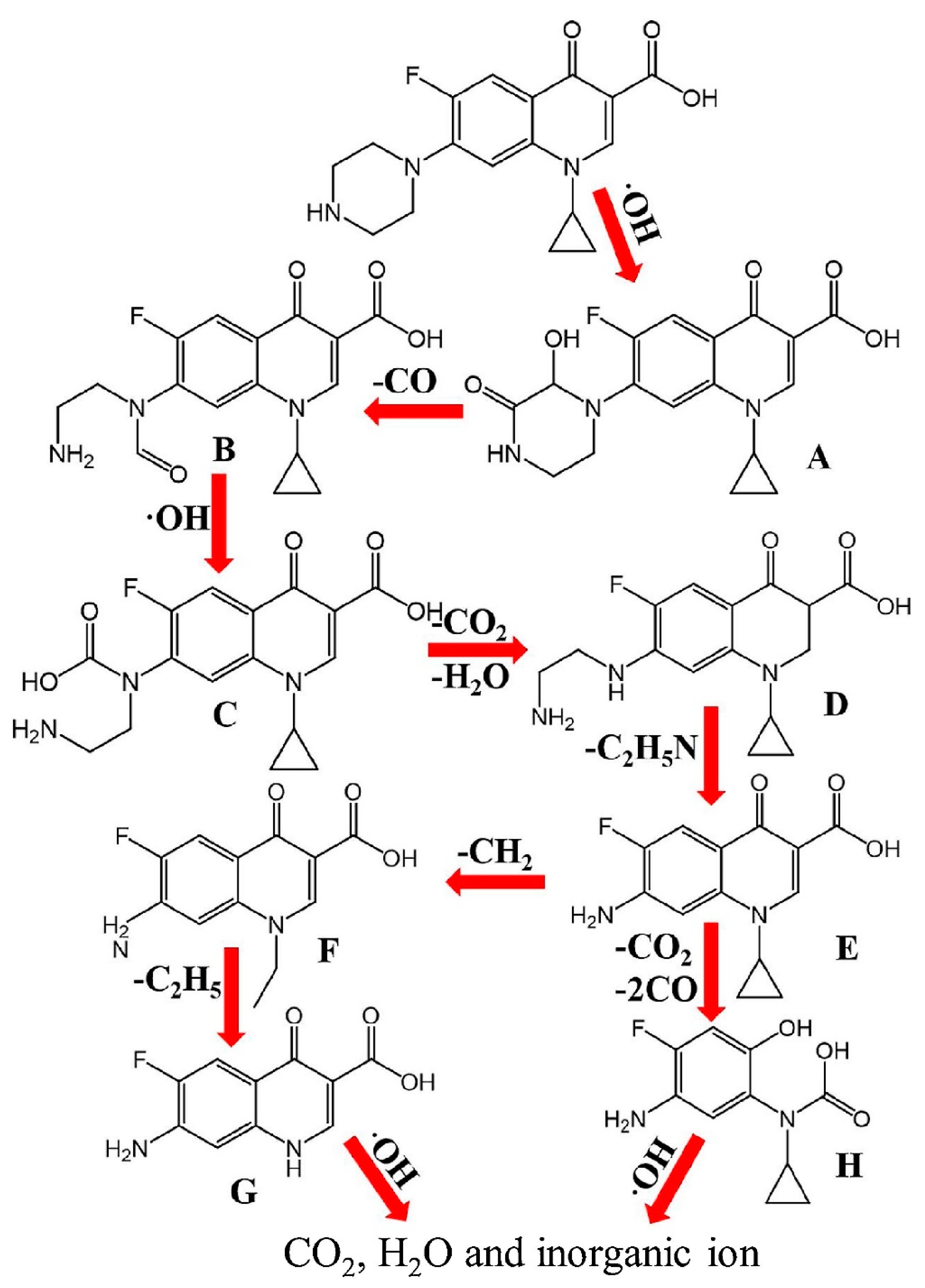 Ijerph 18 01529 g010