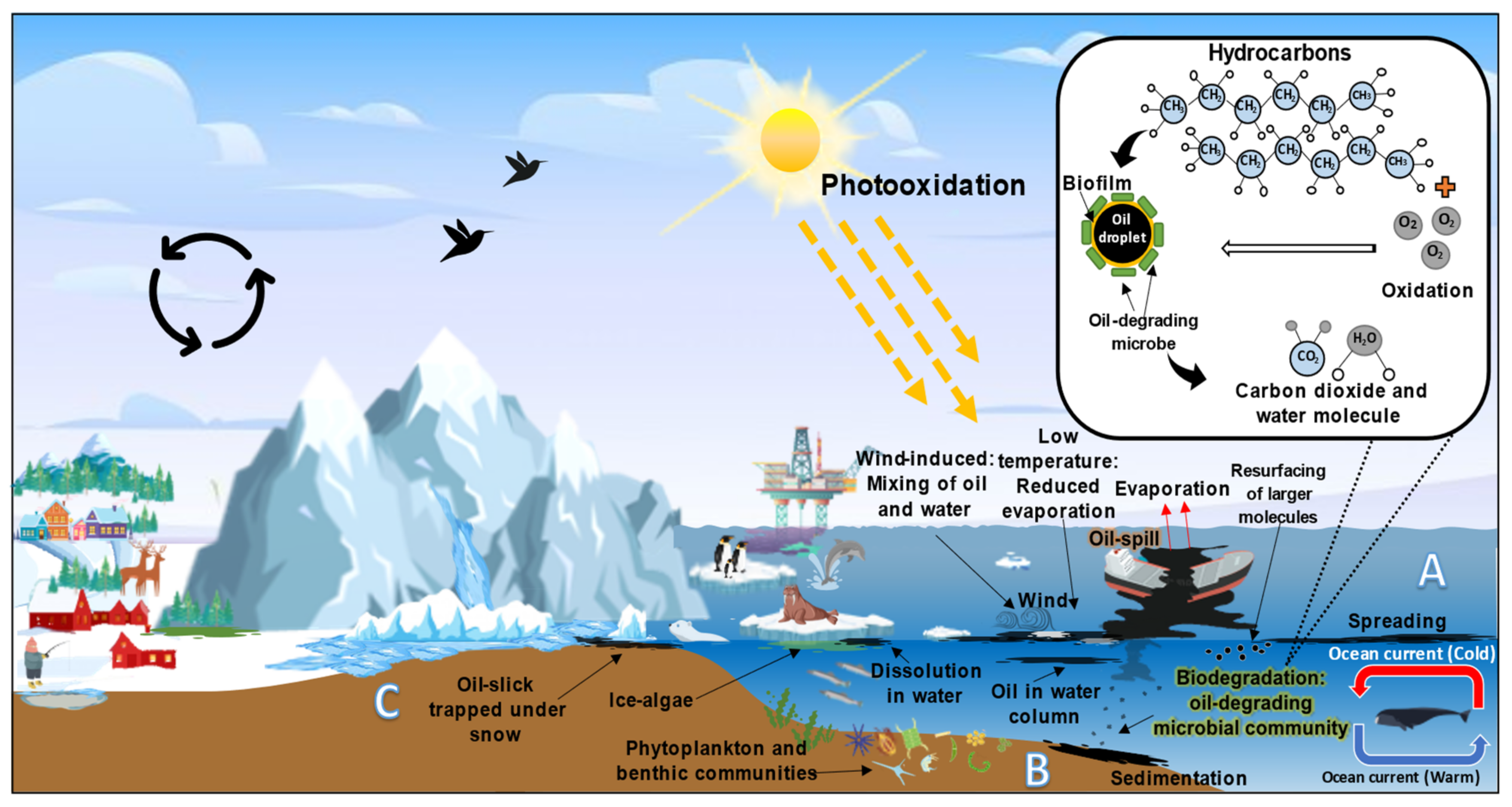 Ijerph 18 01671 g007