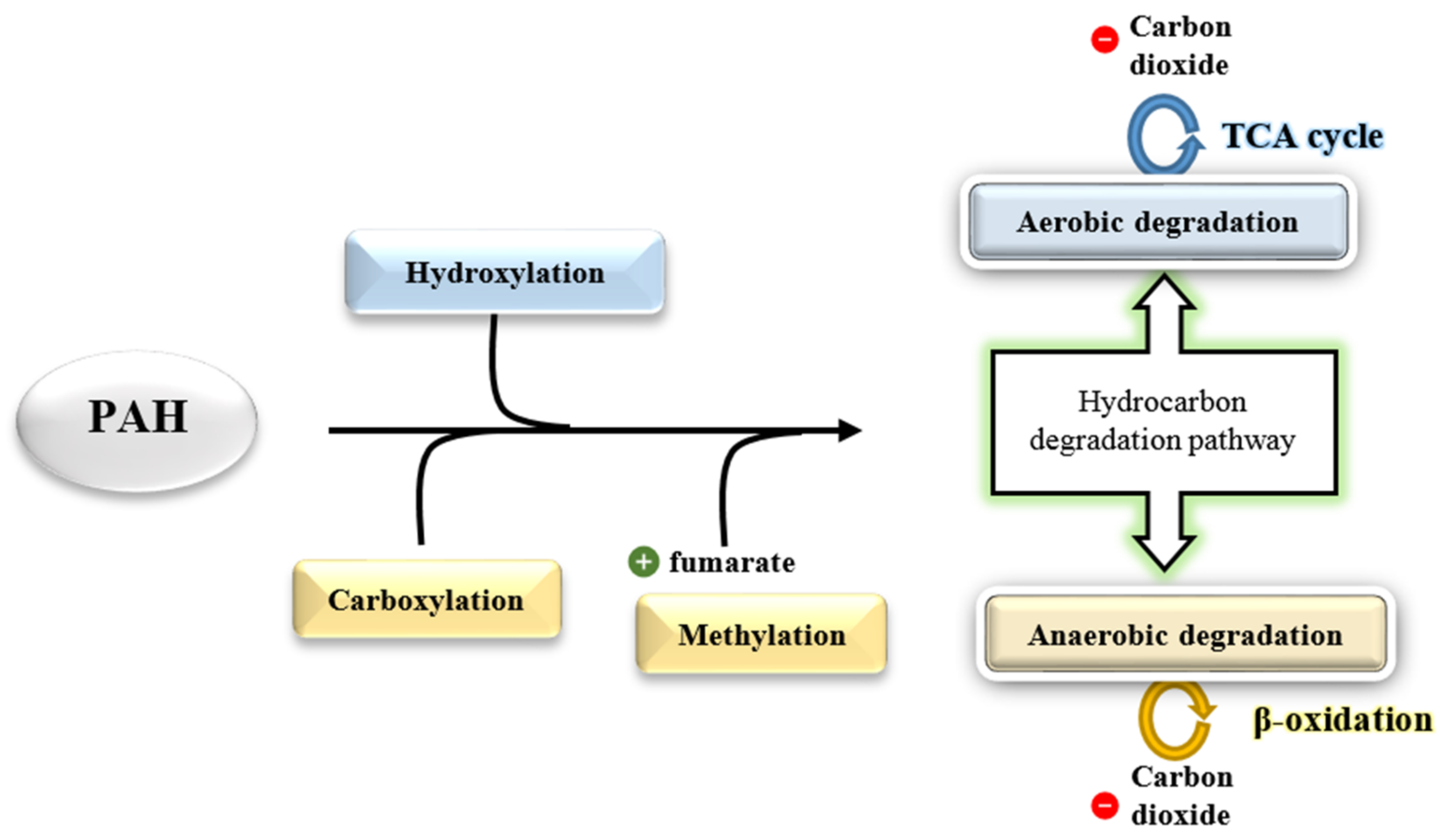 Ijerph 18 01671 g008