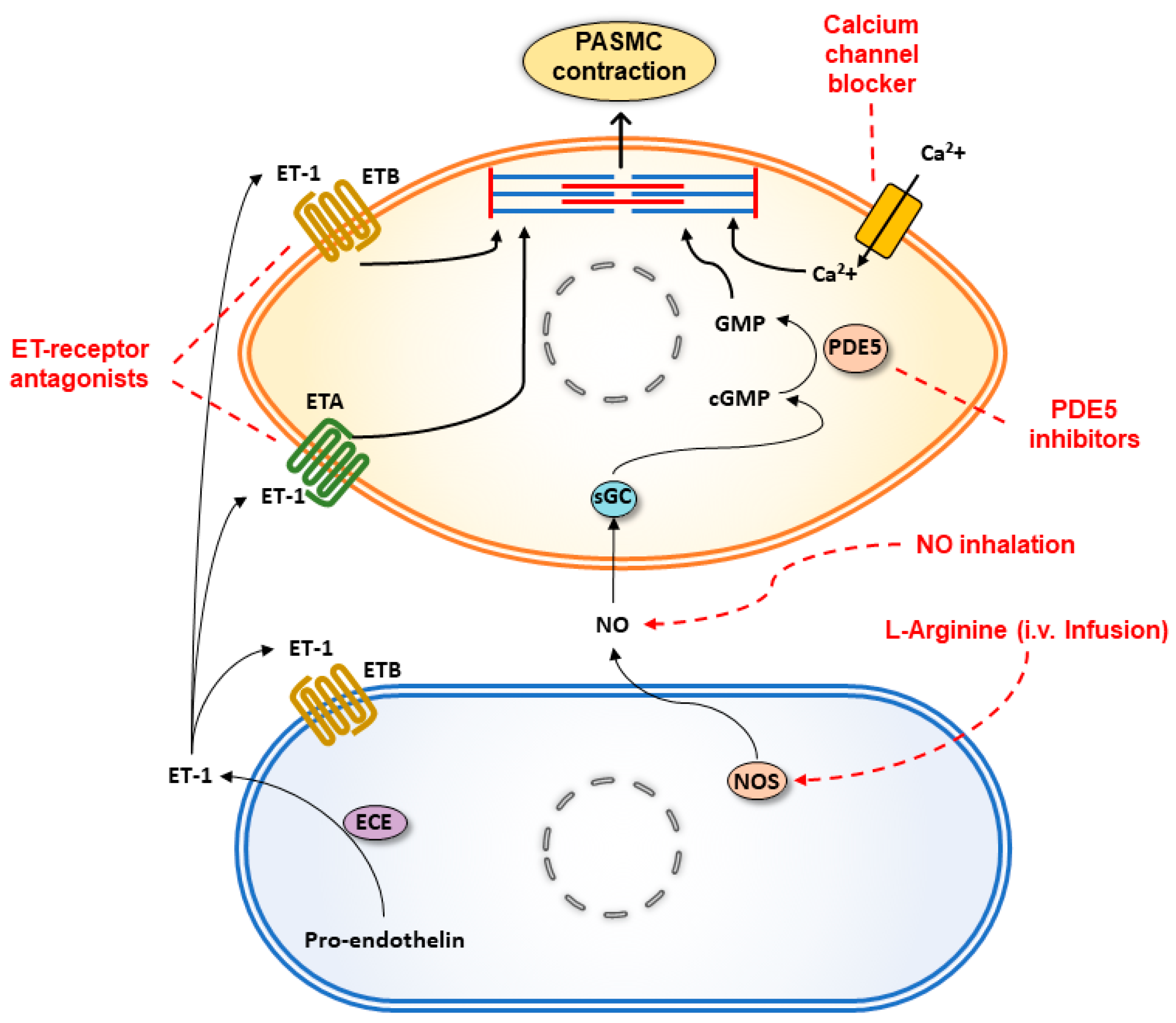 Ijerph 18 01692 g003