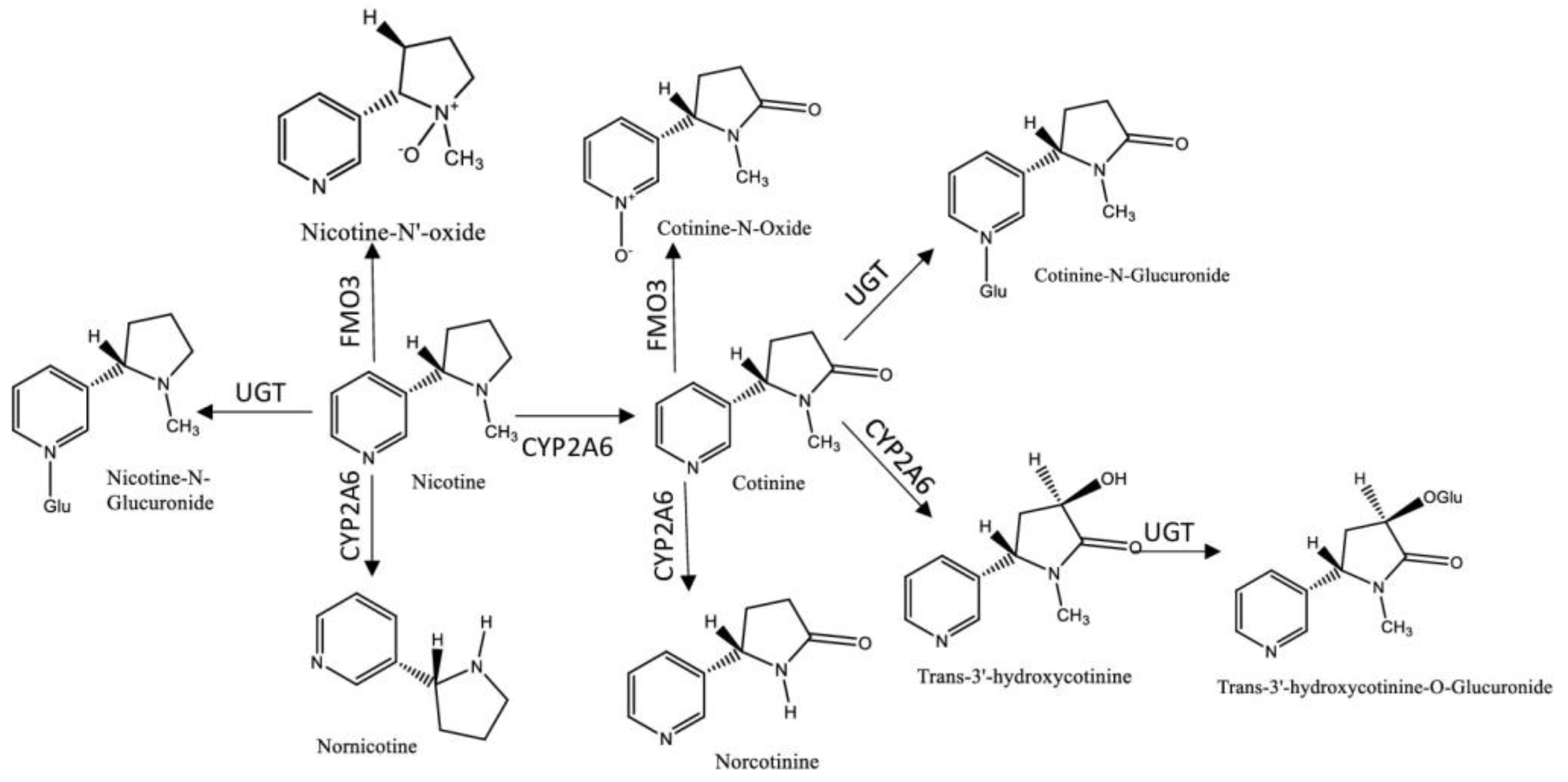 Ijerph 18 01768 g001