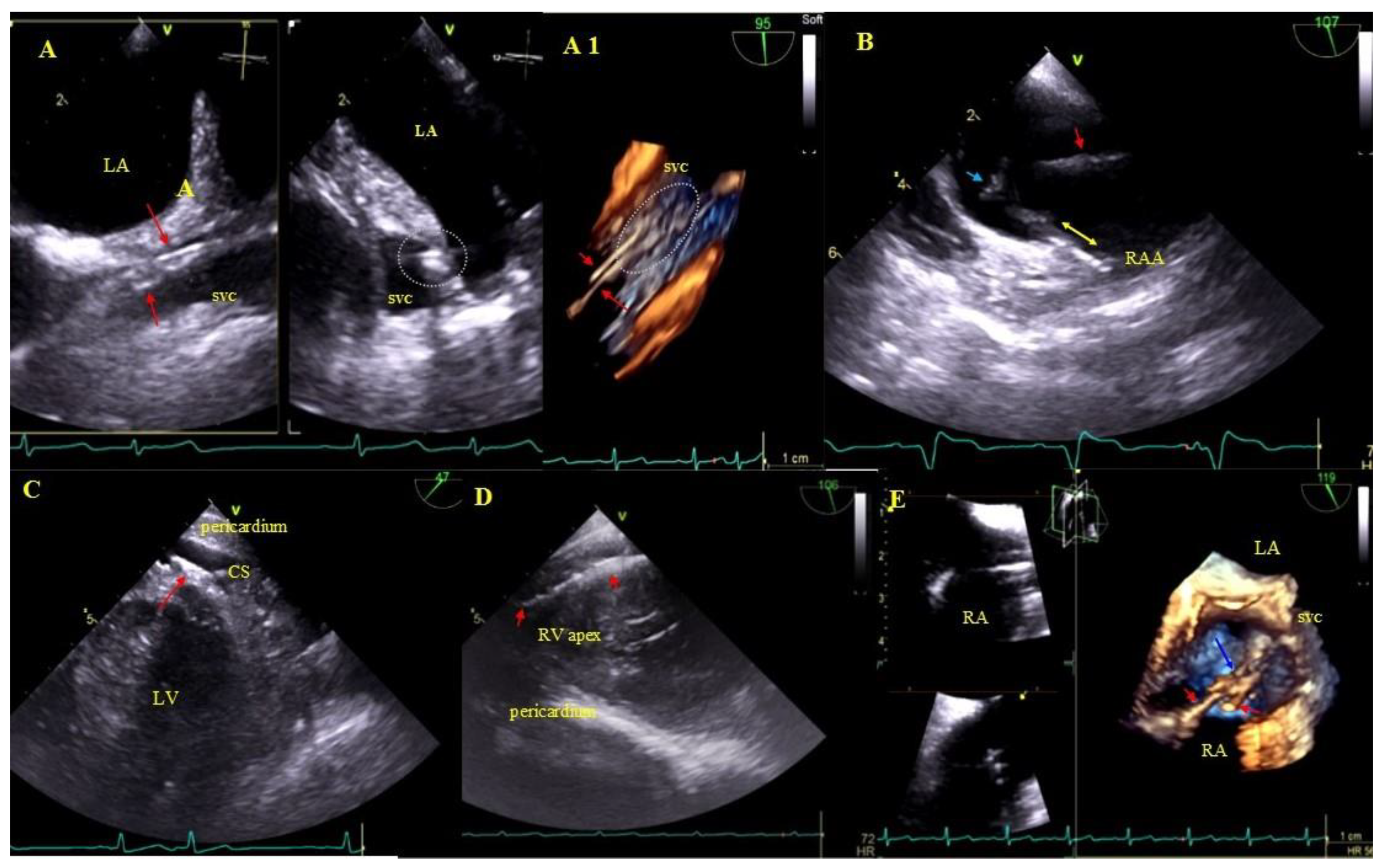 Ijerph 18 01862 g003