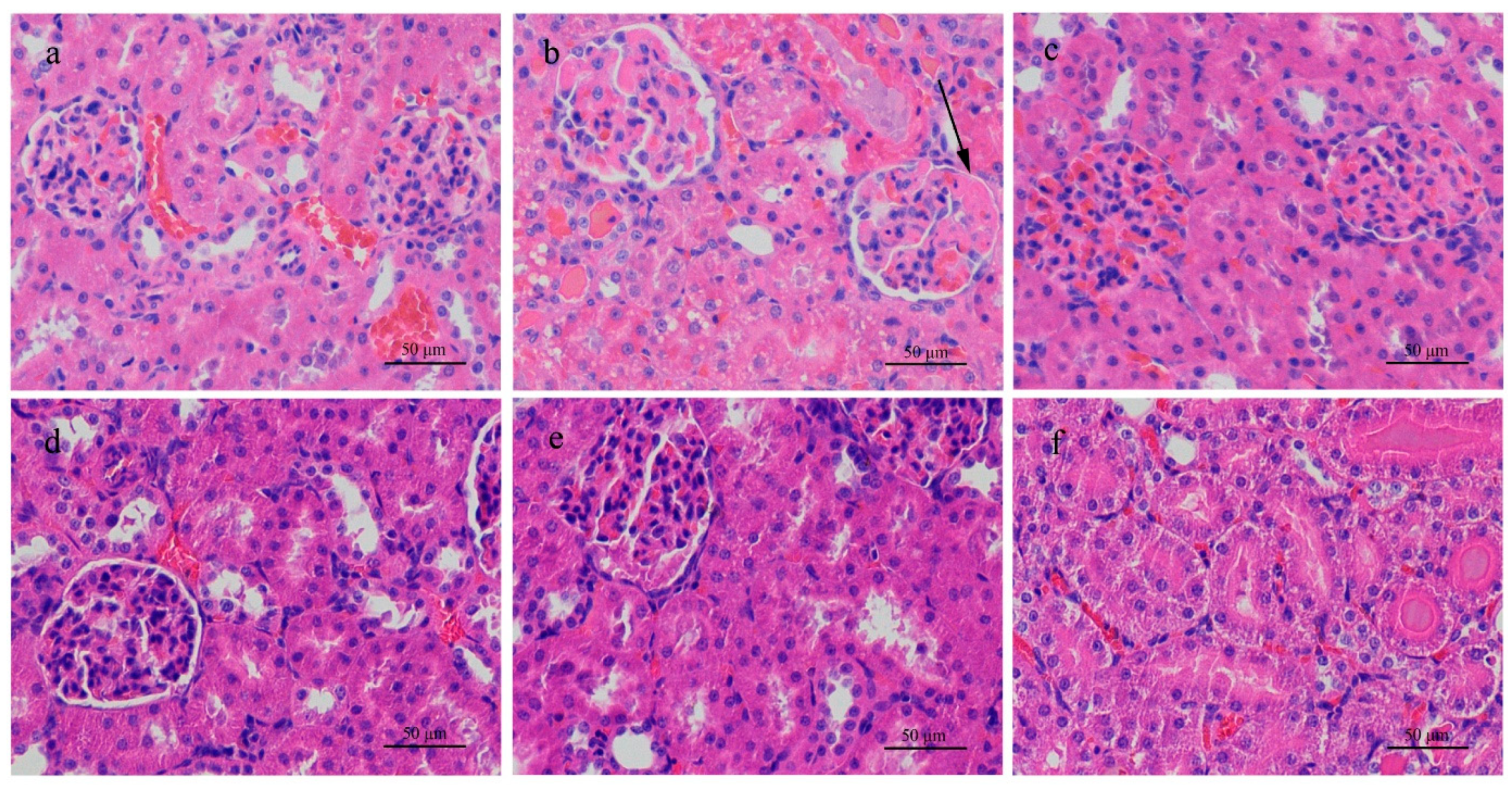 Ijerph 18 01900 g001