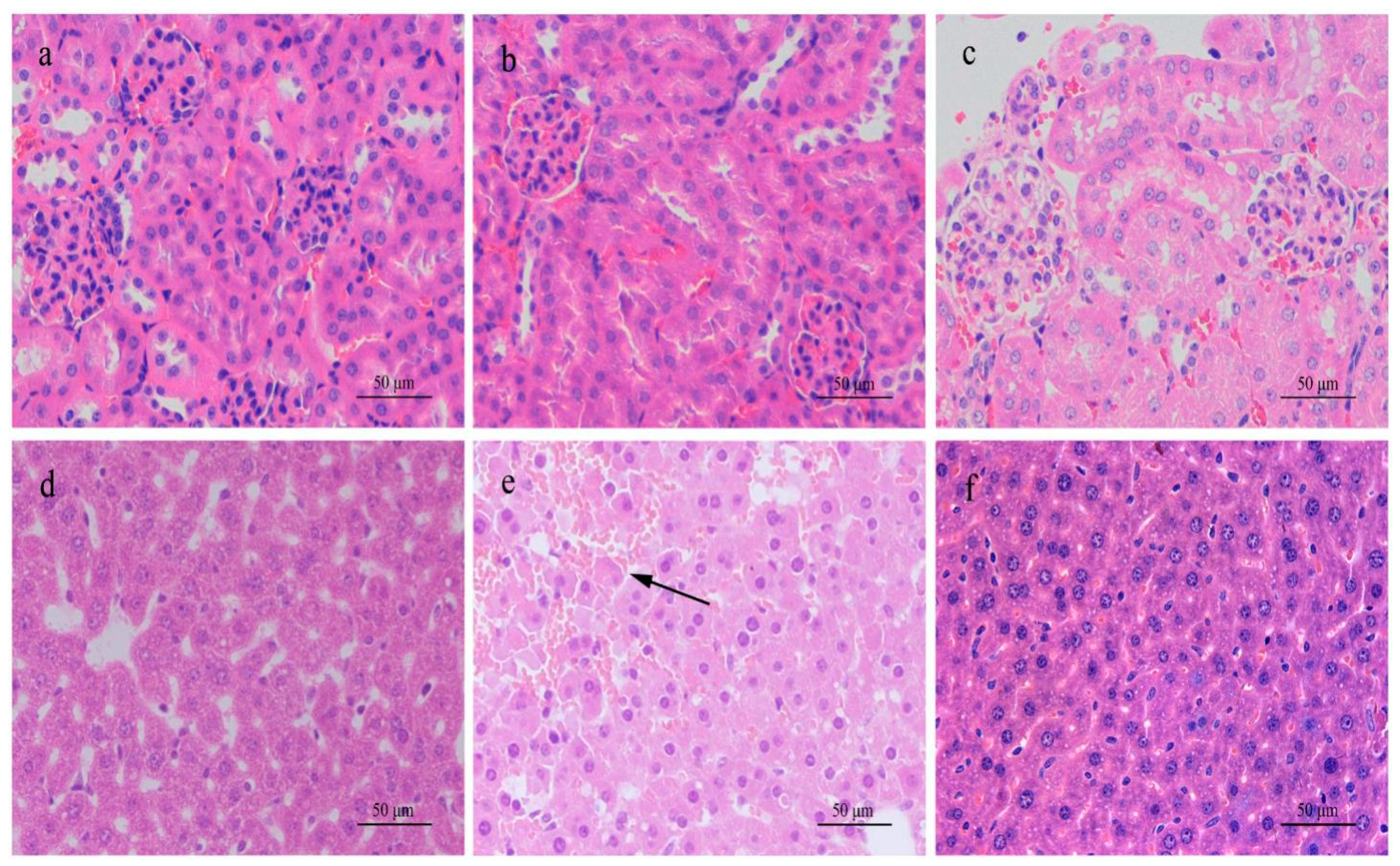 Ijerph 18 01900 g002