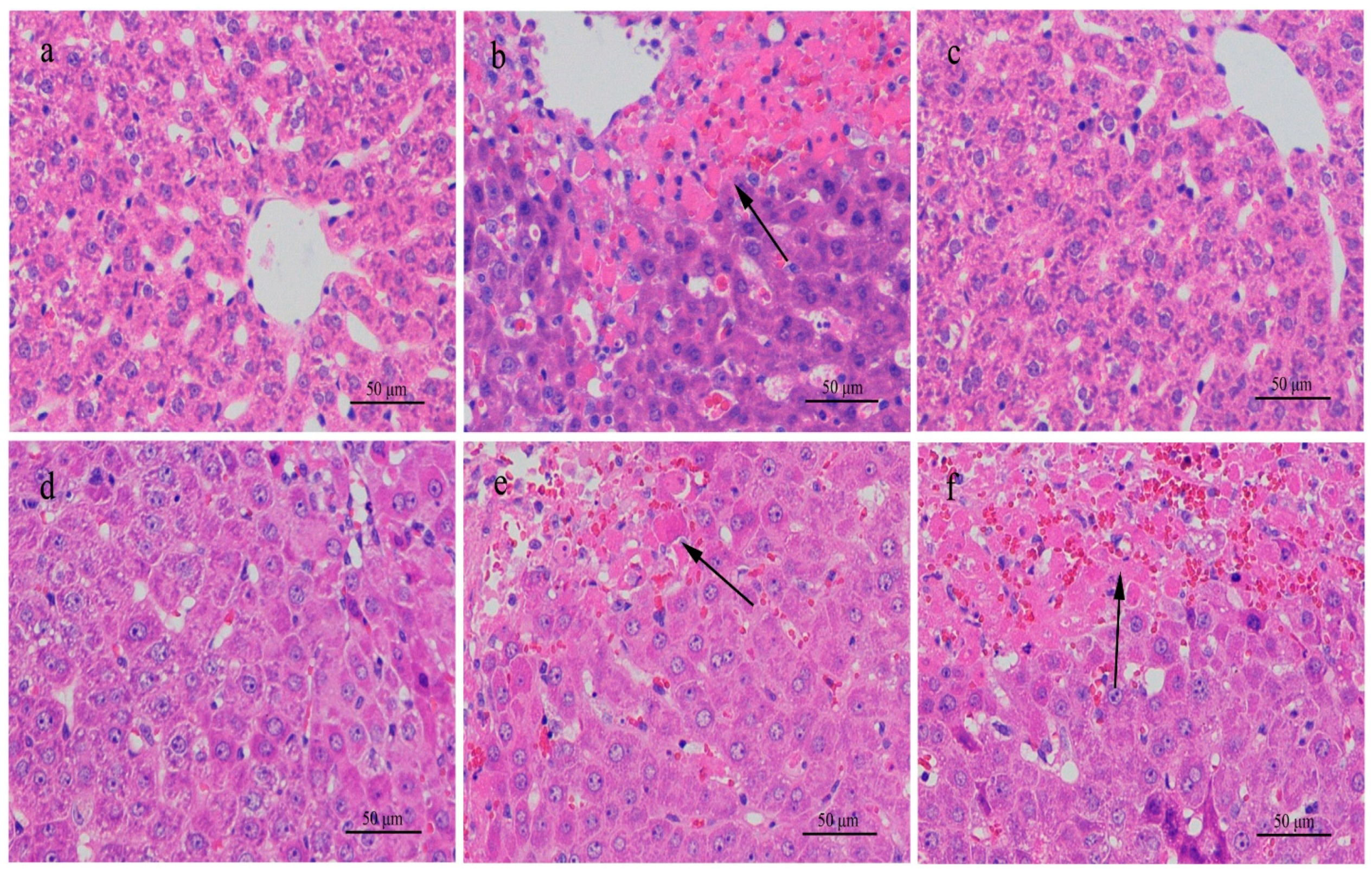 Ijerph 18 01900 g003