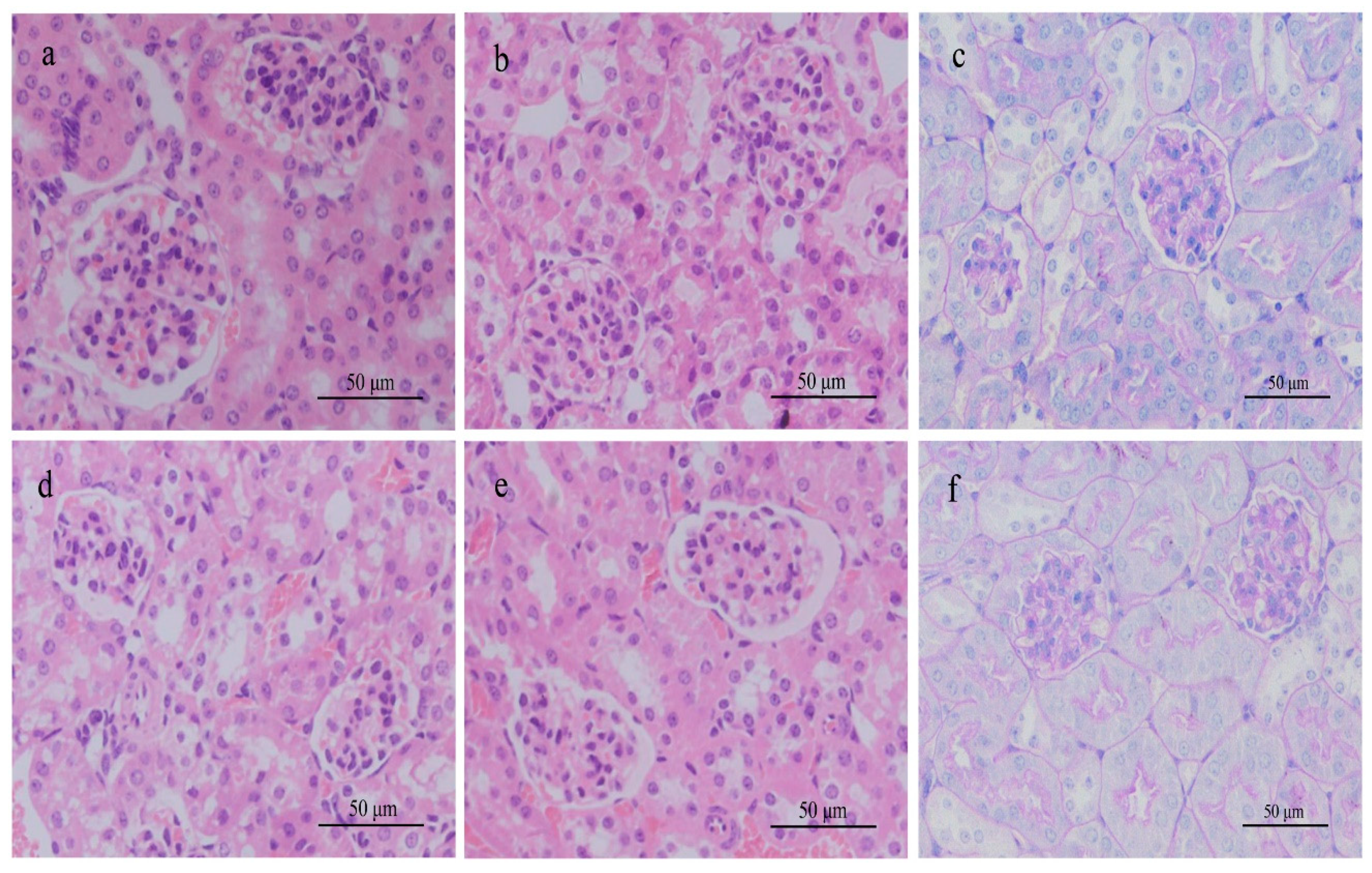 Ijerph 18 01900 g005