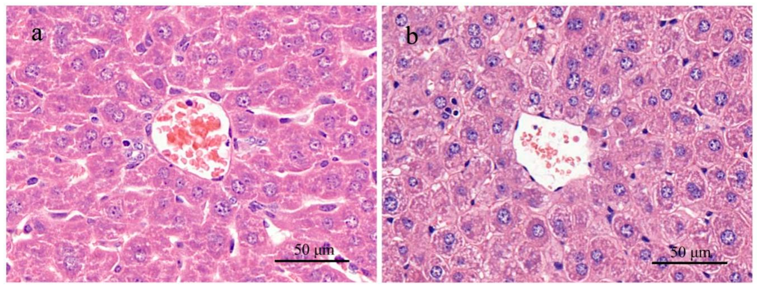 Ijerph 18 01900 g006