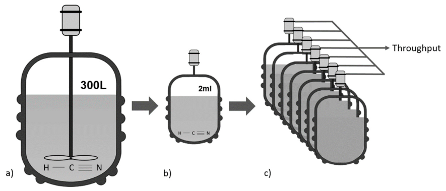 Ijerph 18 01963 g001