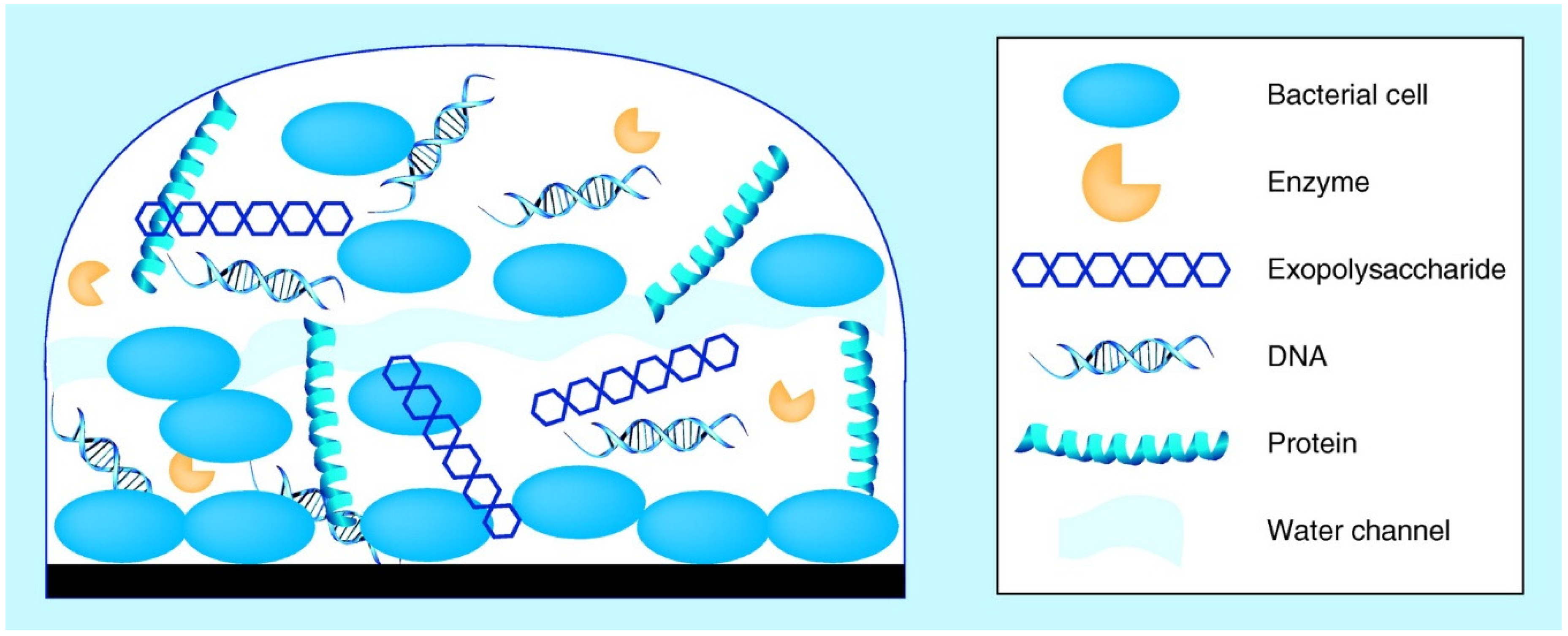 Ijerph 18 02014 g002