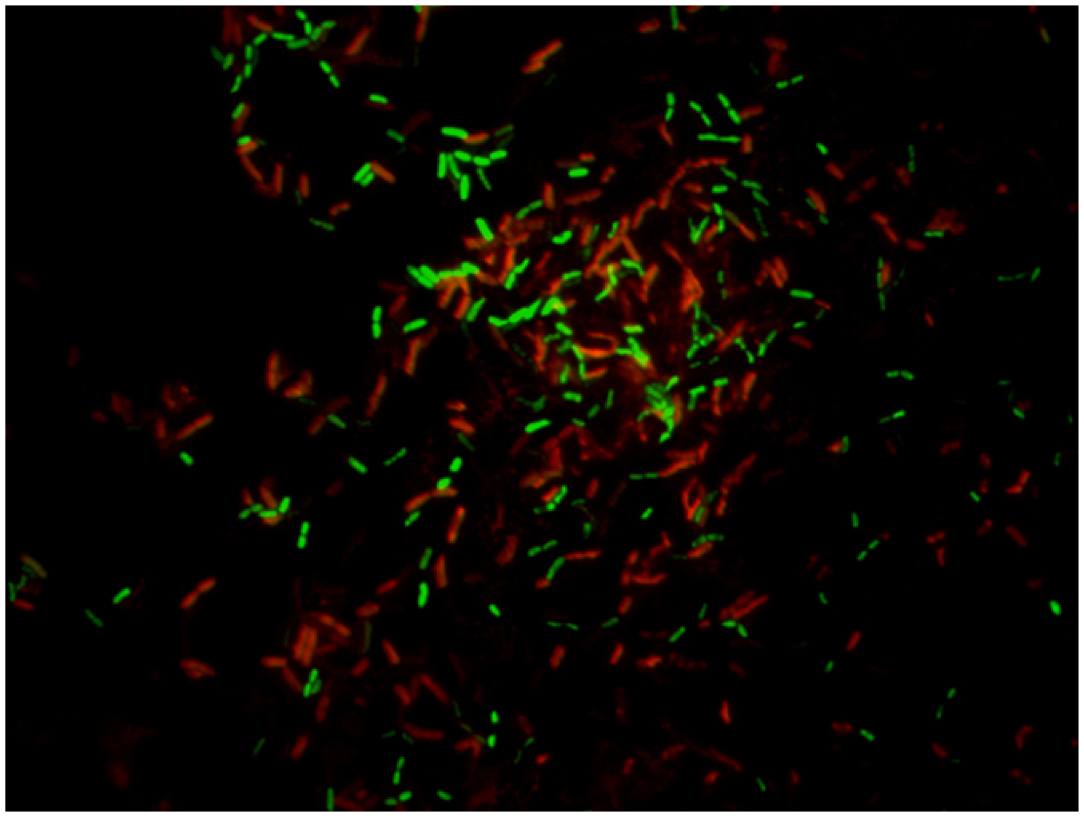 Ijerph 18 02014 g003