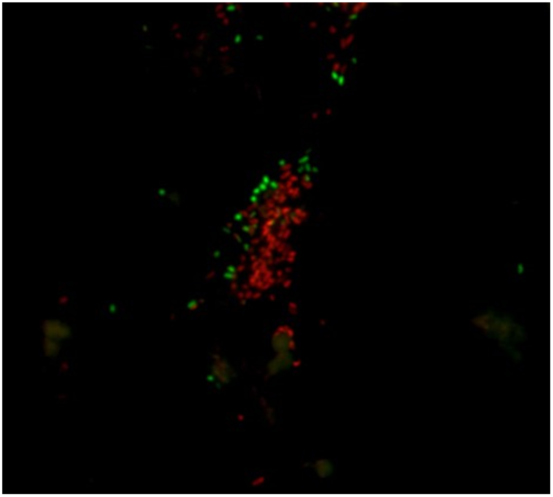 Ijerph 18 02014 g004