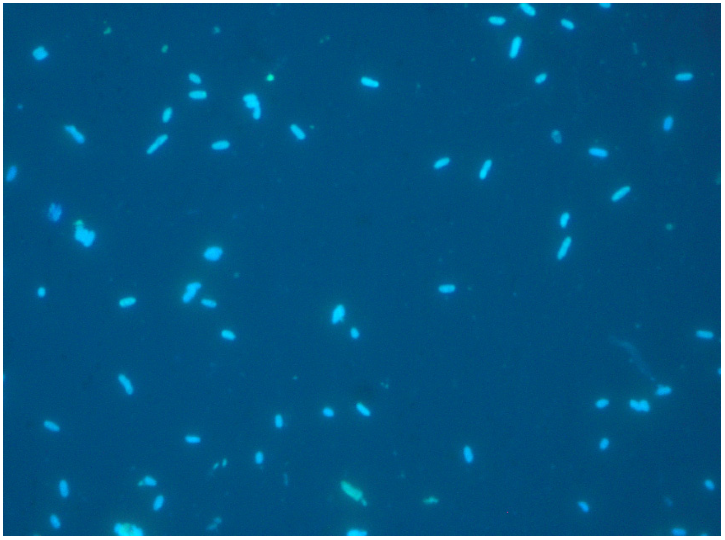 Ijerph 18 02014 g006