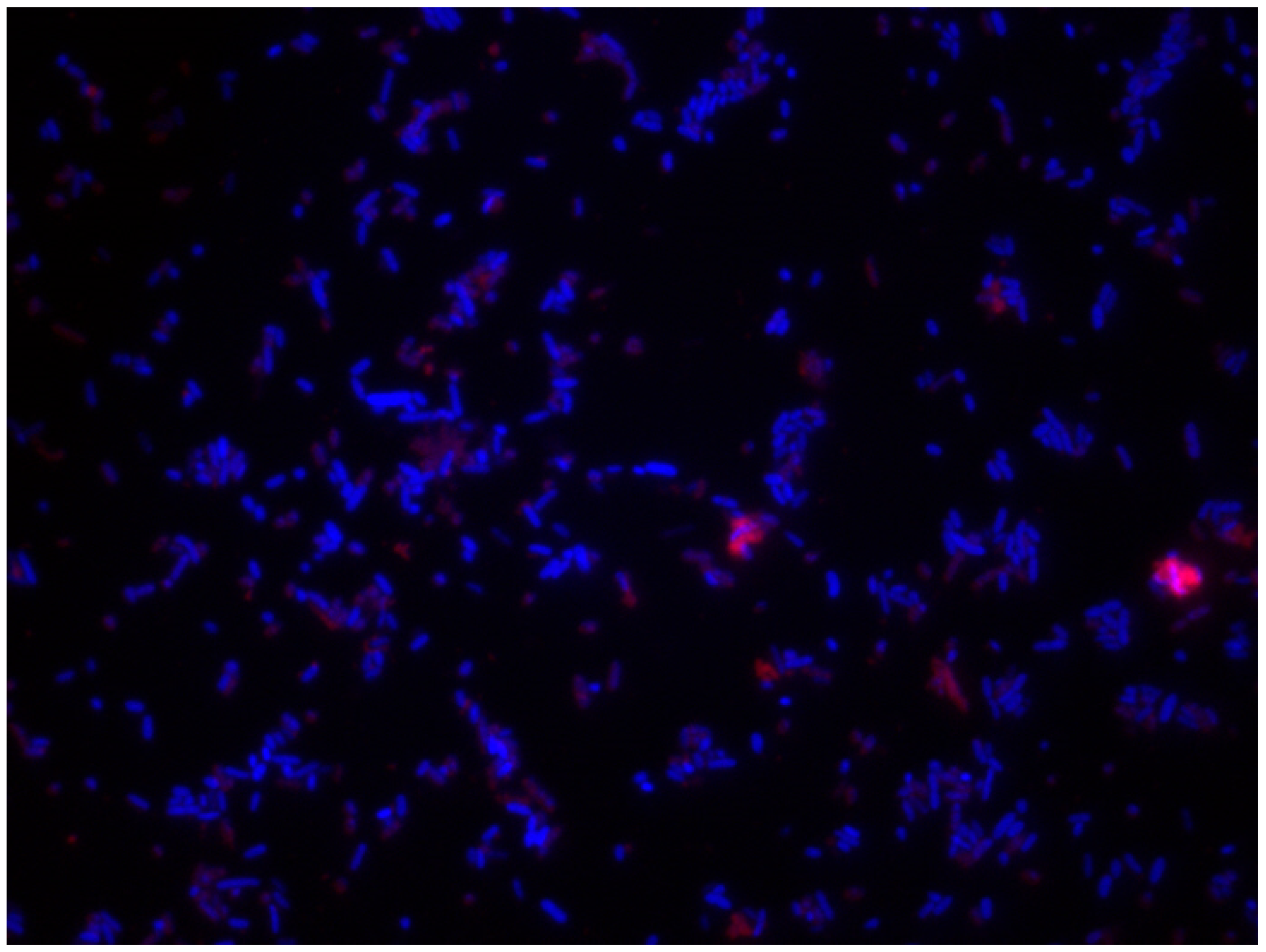 Ijerph 18 02014 g007